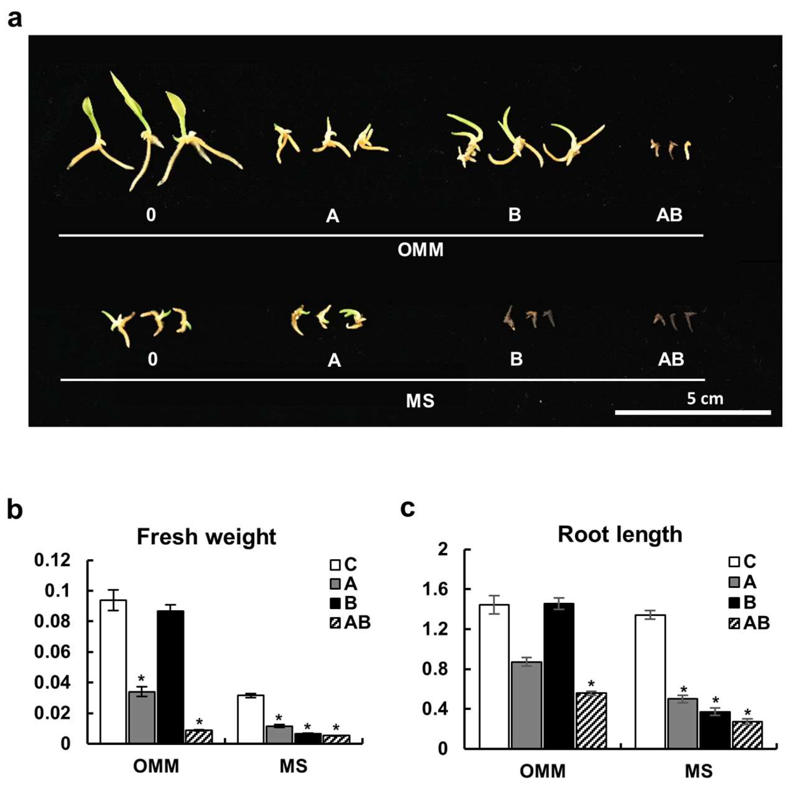 Plants 12 03788 g004 Plants 12 03788 g004
