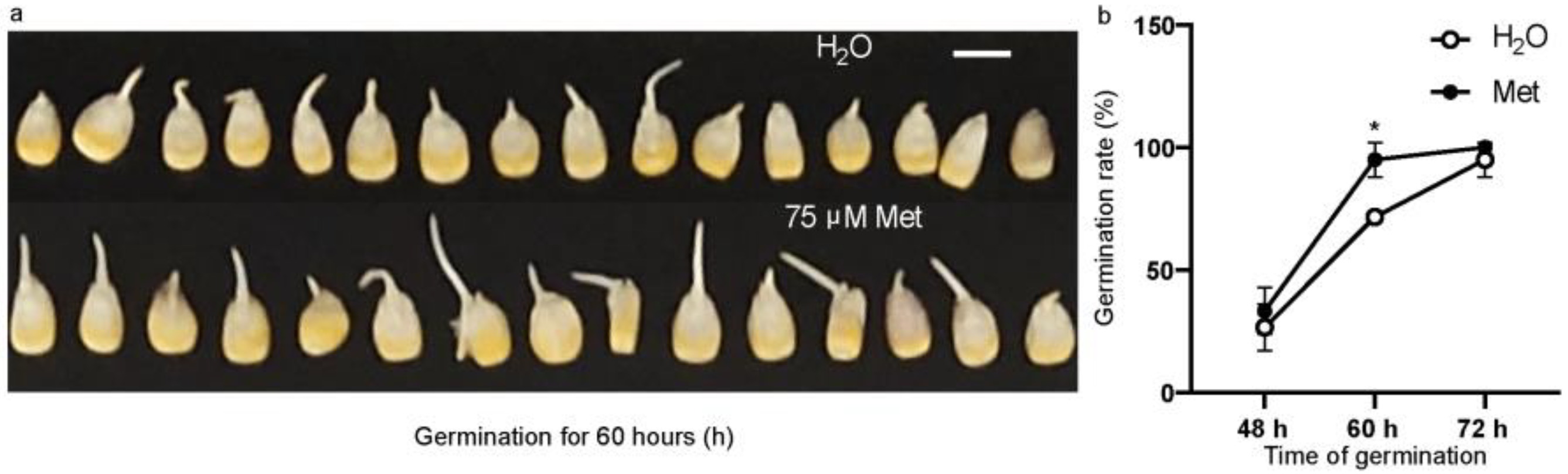 Plants 12 03802 g001