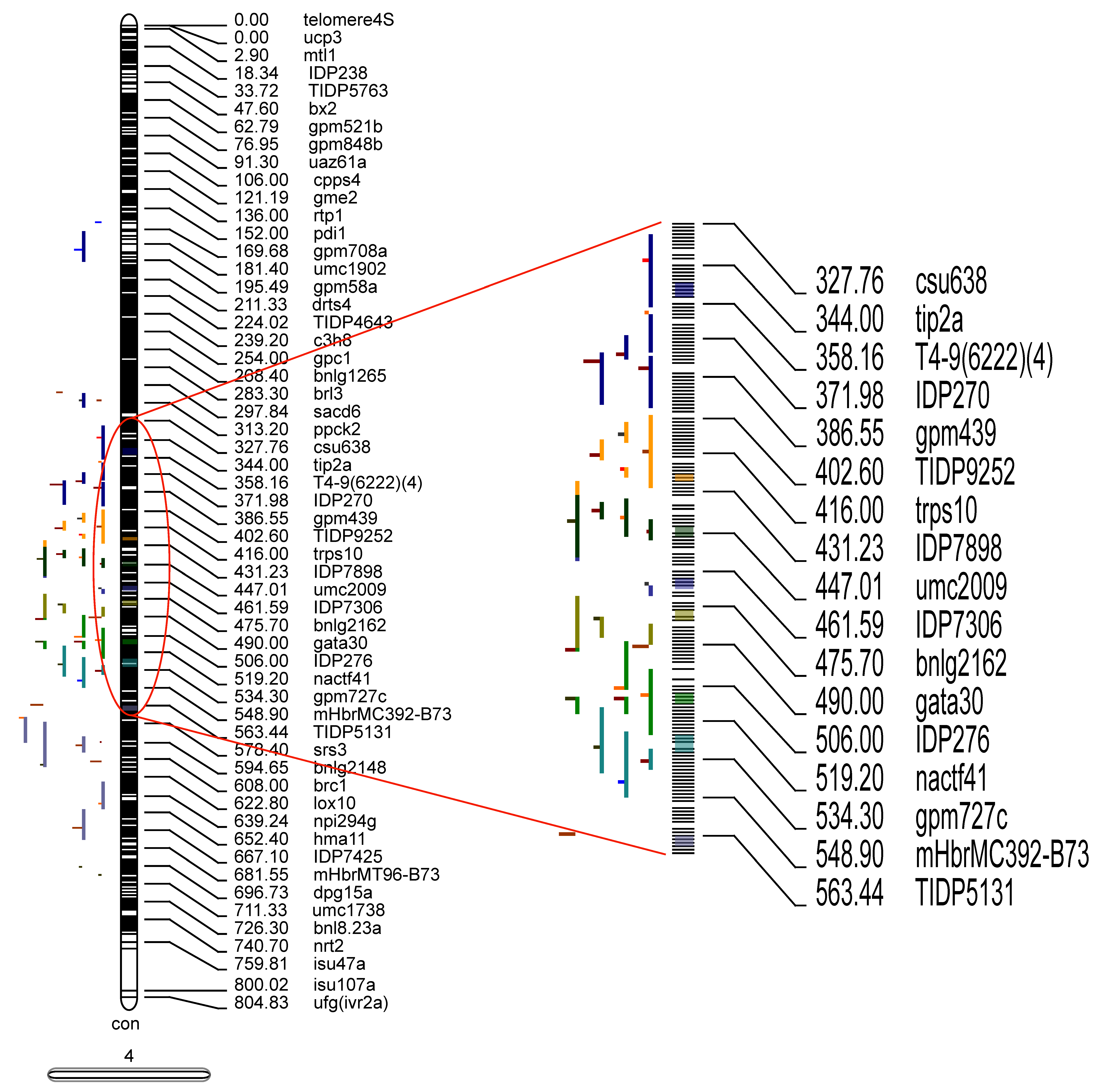 Plants 12 03806 g004