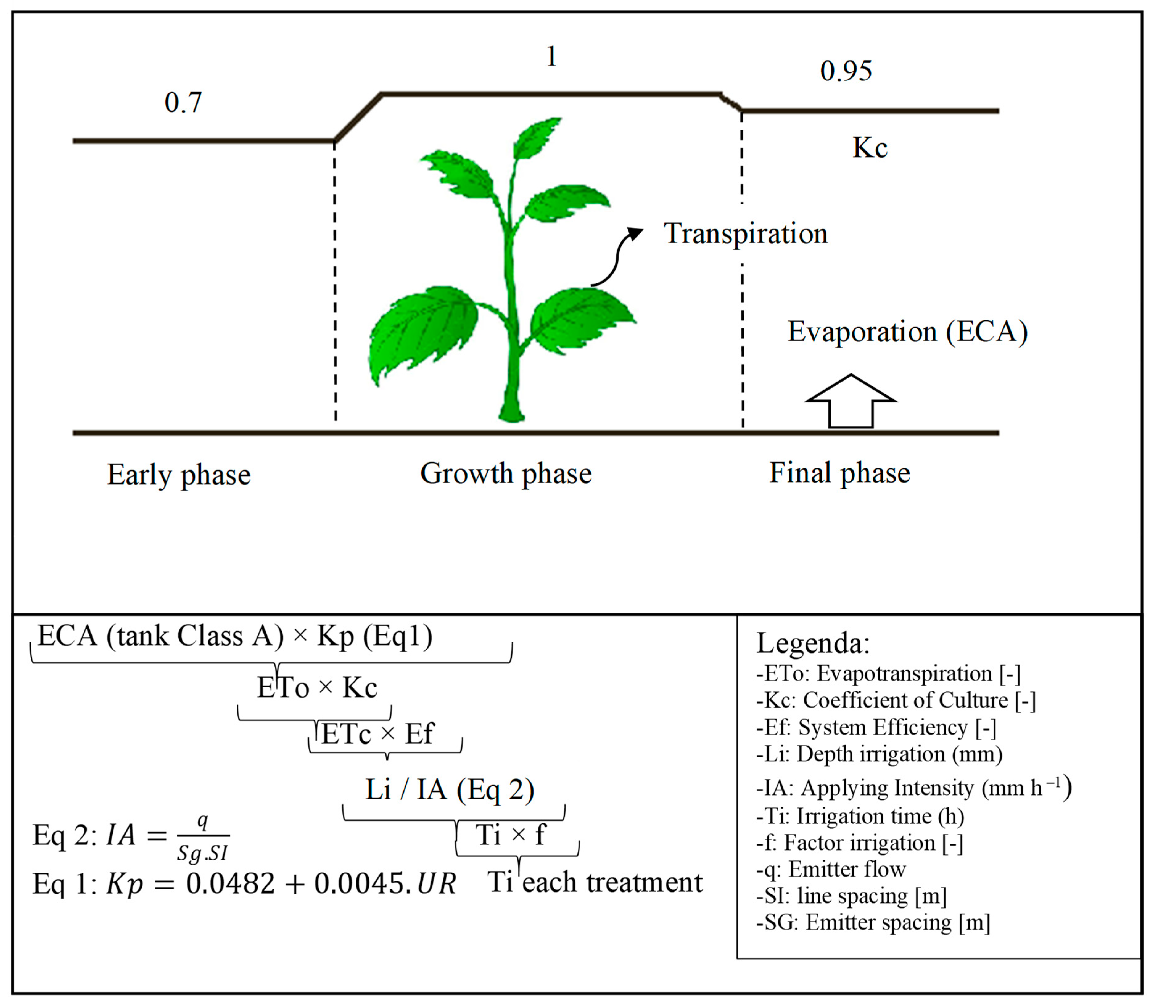 Plants 12 03811 g002