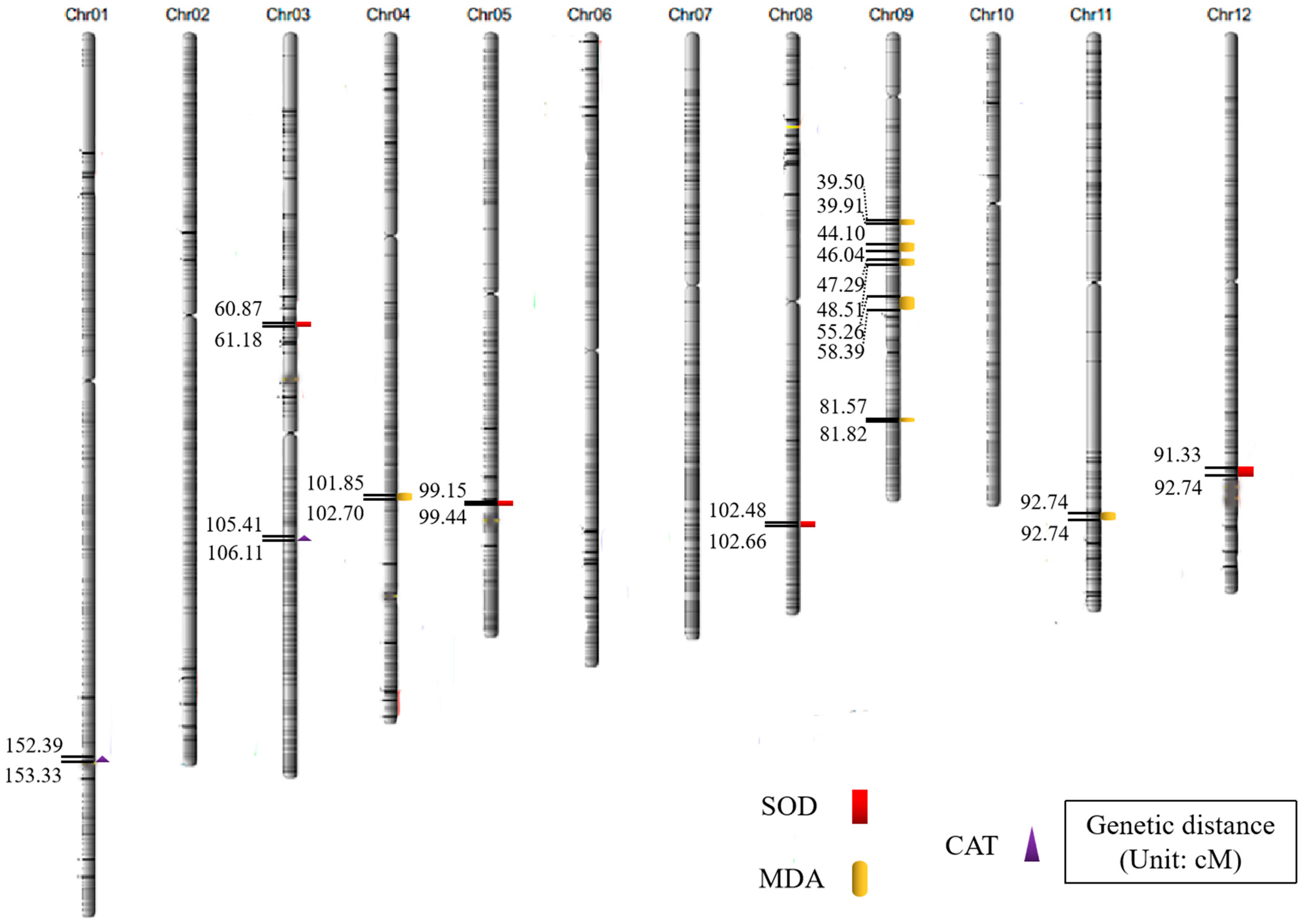 Plants 12 03812 g002