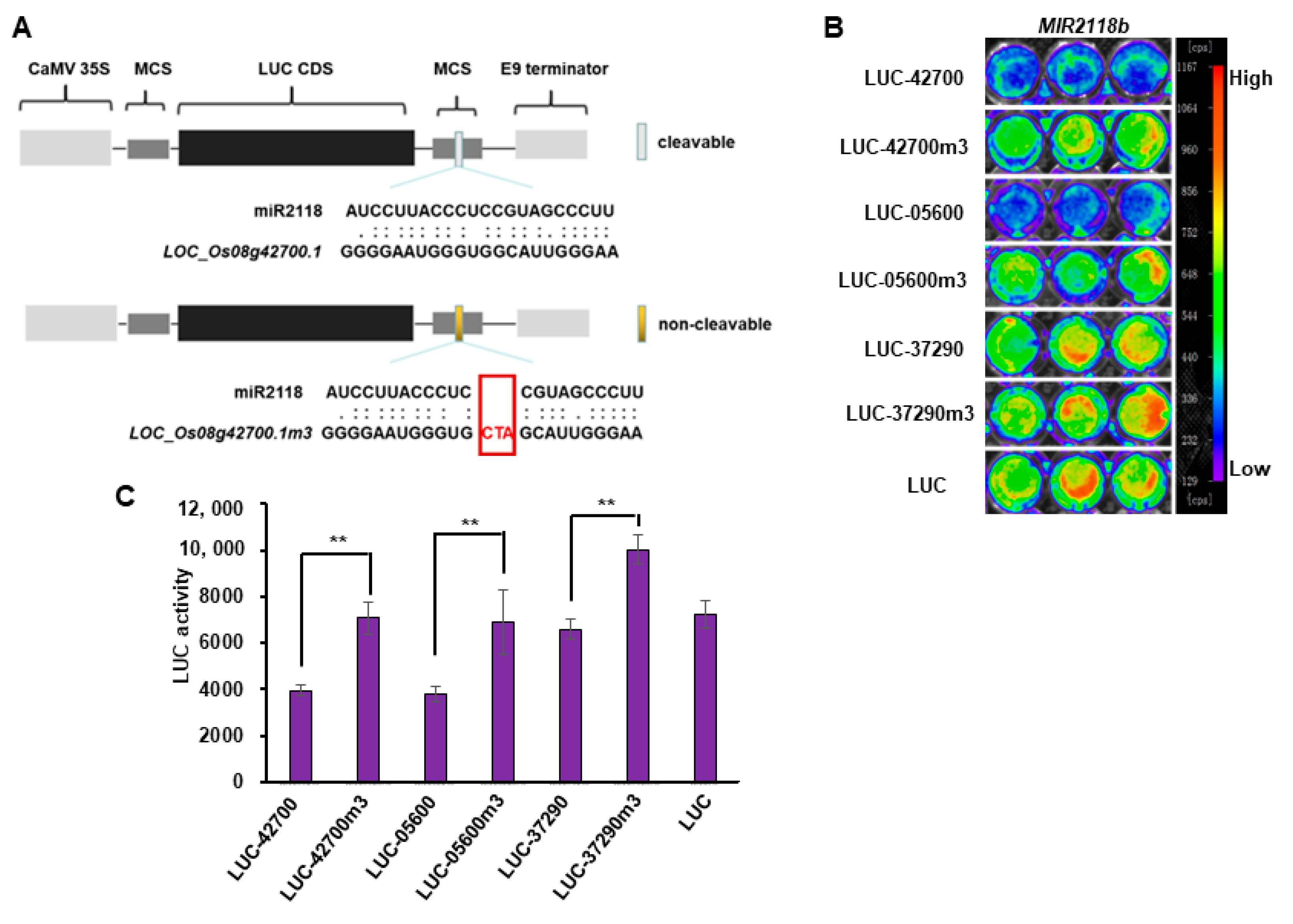 Plants 12 03815 g003
