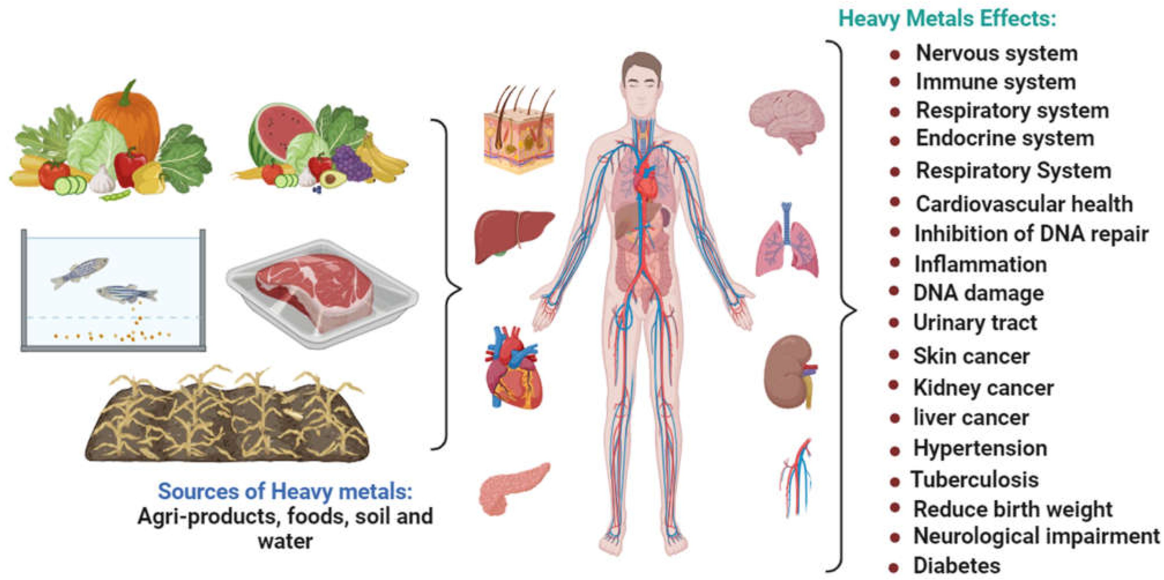 Plants 12 03816 g003