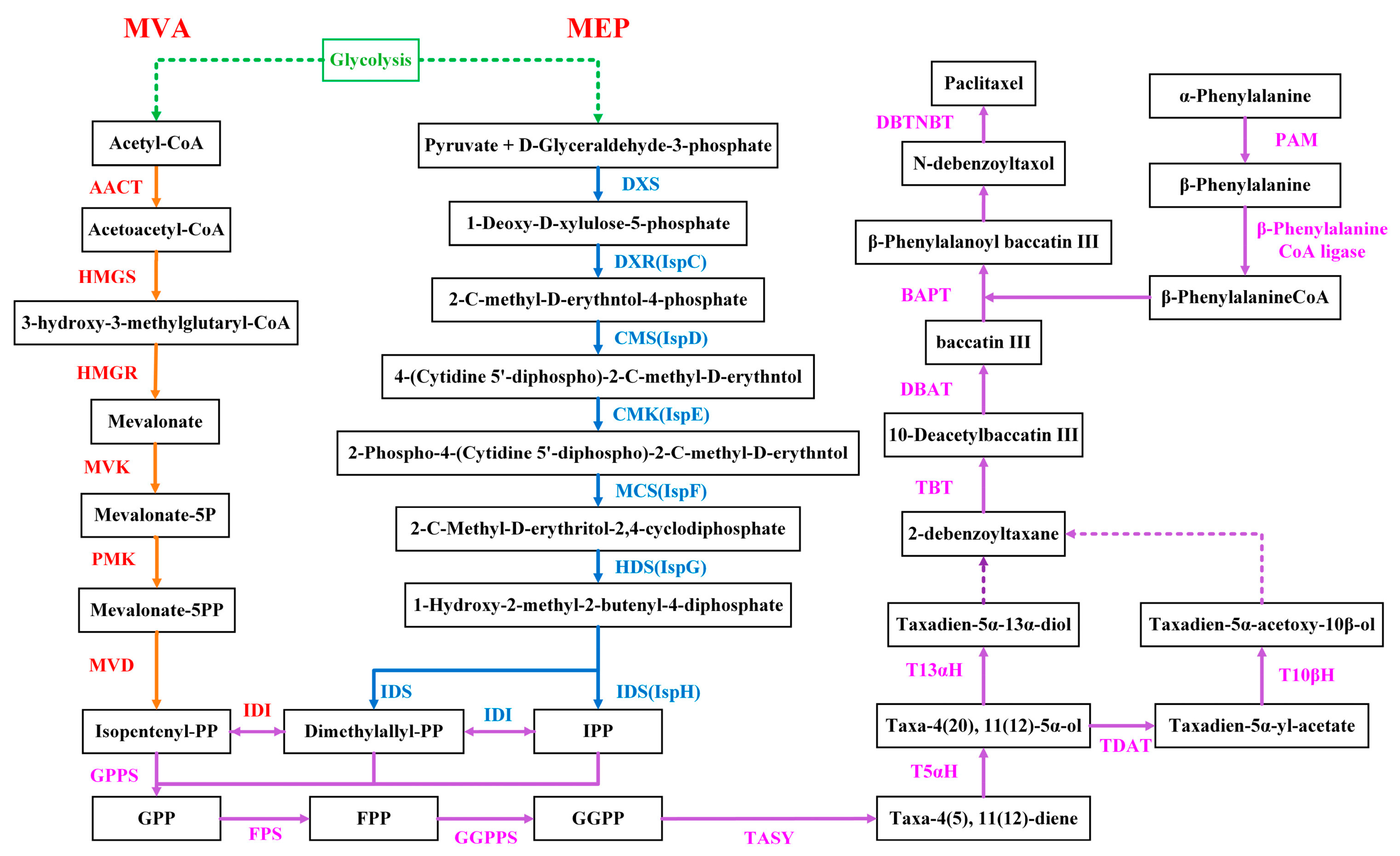 Plants 12 03817 g006 Plants 12 03817 g006