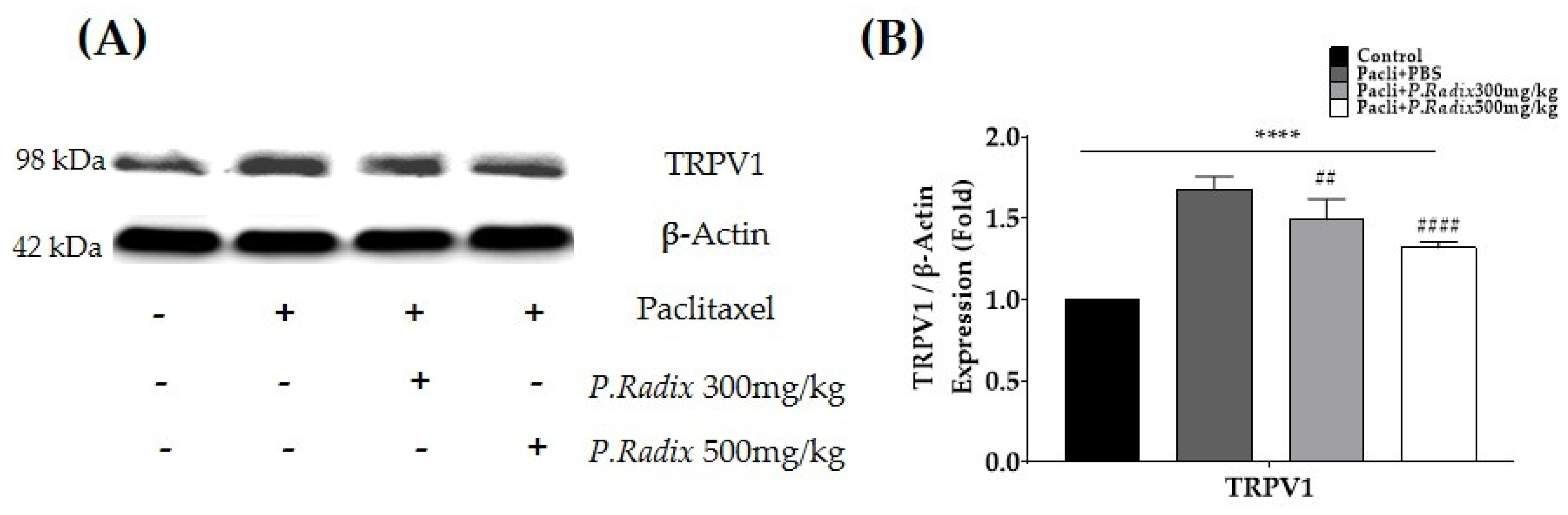Plants 12 03819 g004 Plants 12 03819 g004