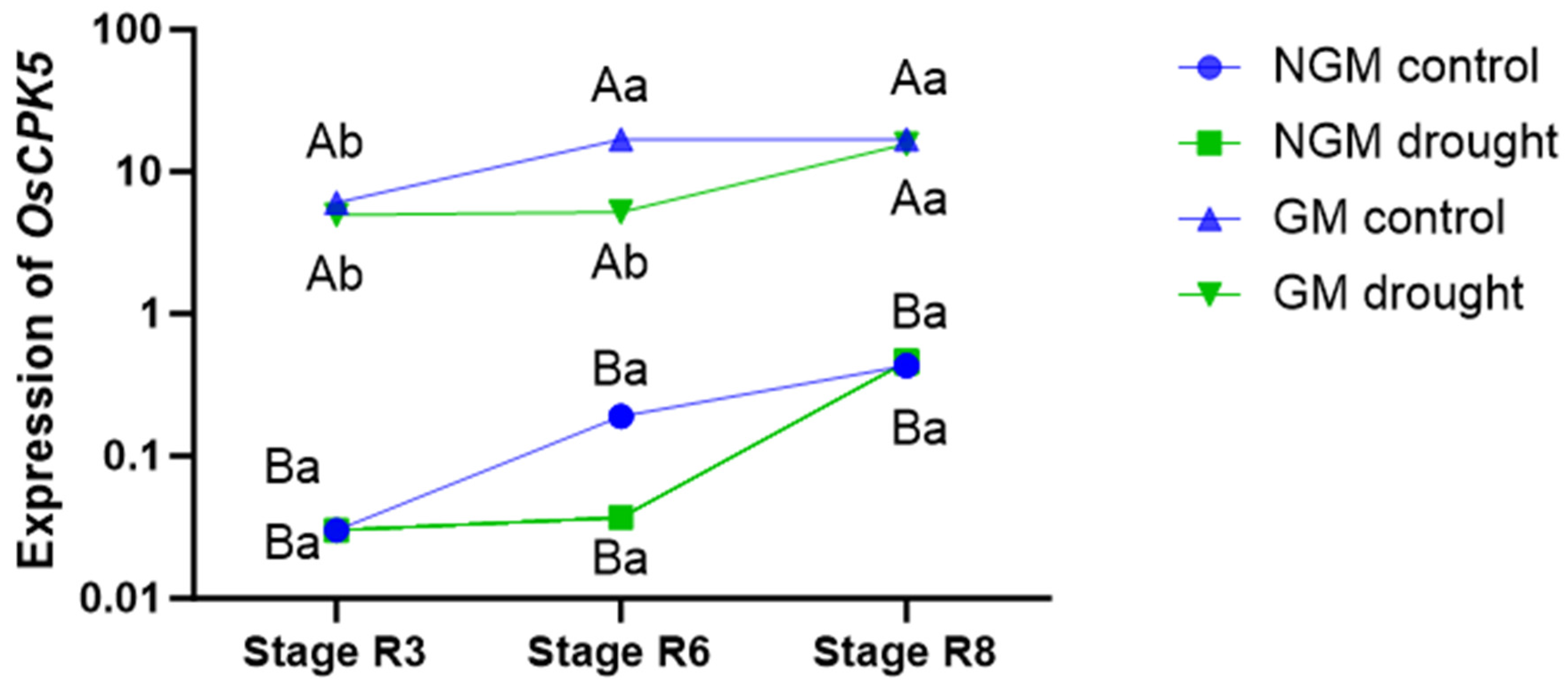 Plants 12 03826 g002