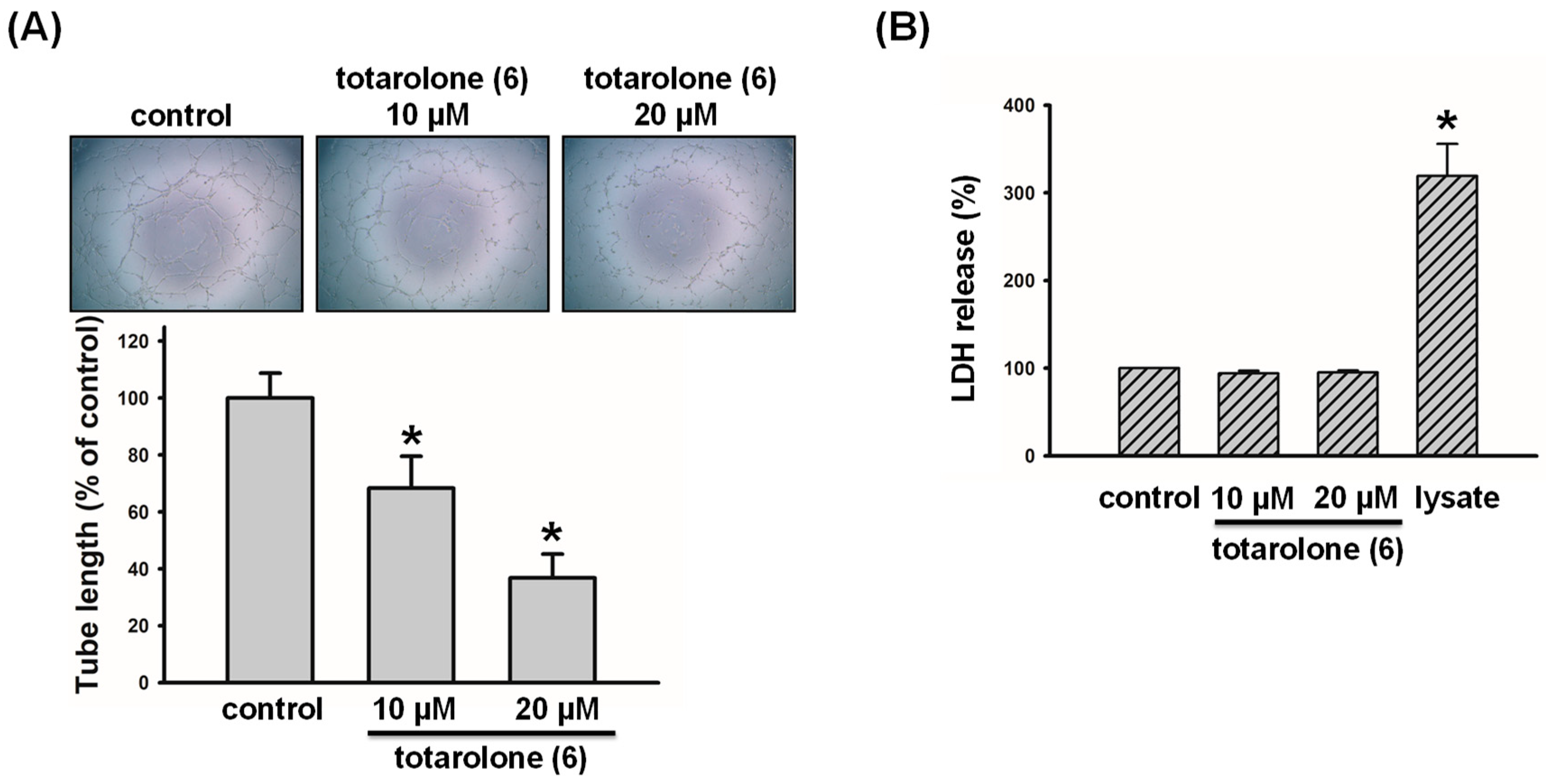 Plants 12 03828 g007 Plants 12 03828 g007