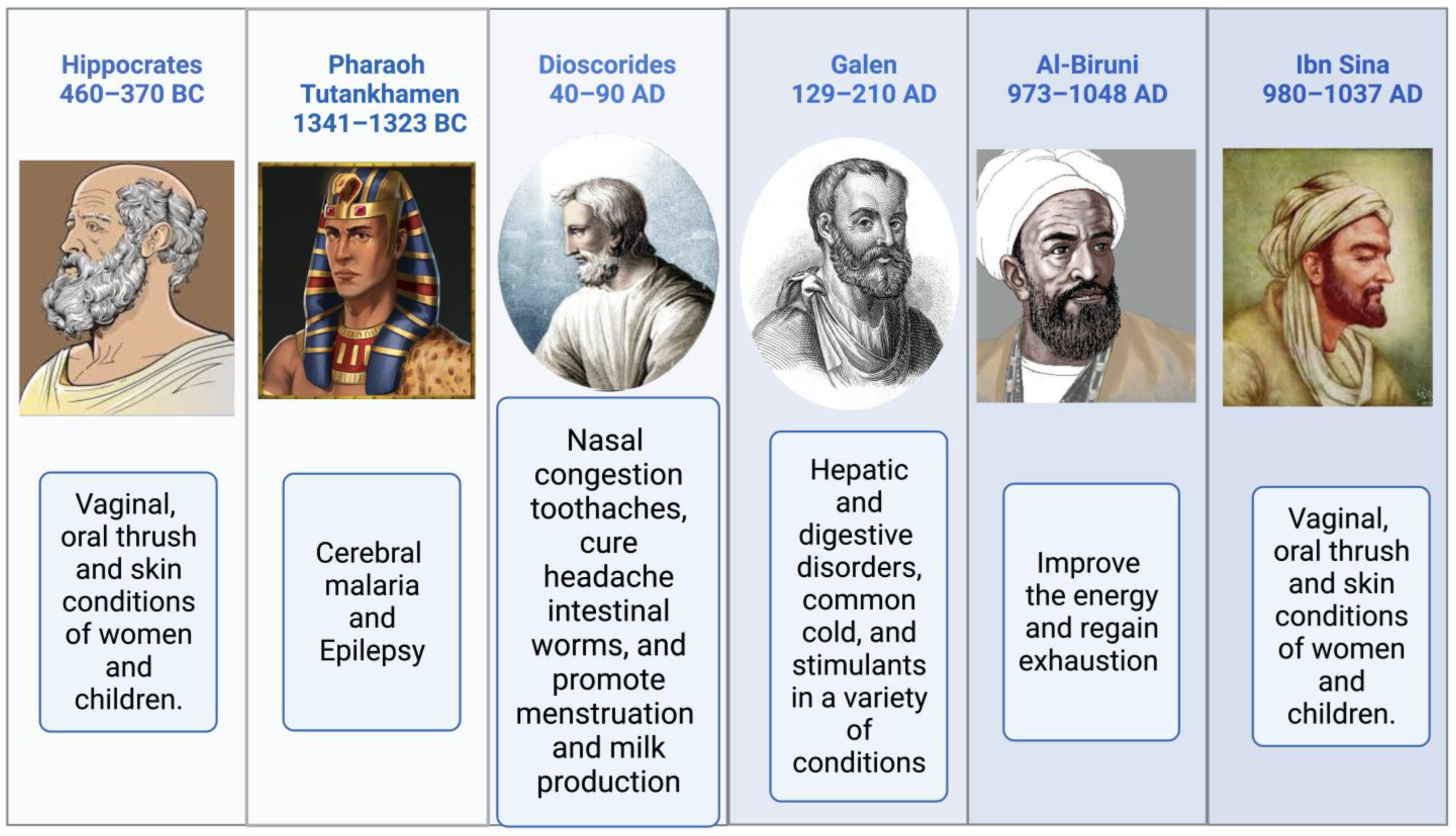 Plants 12 03829 g002 Plants 12 03829 g002