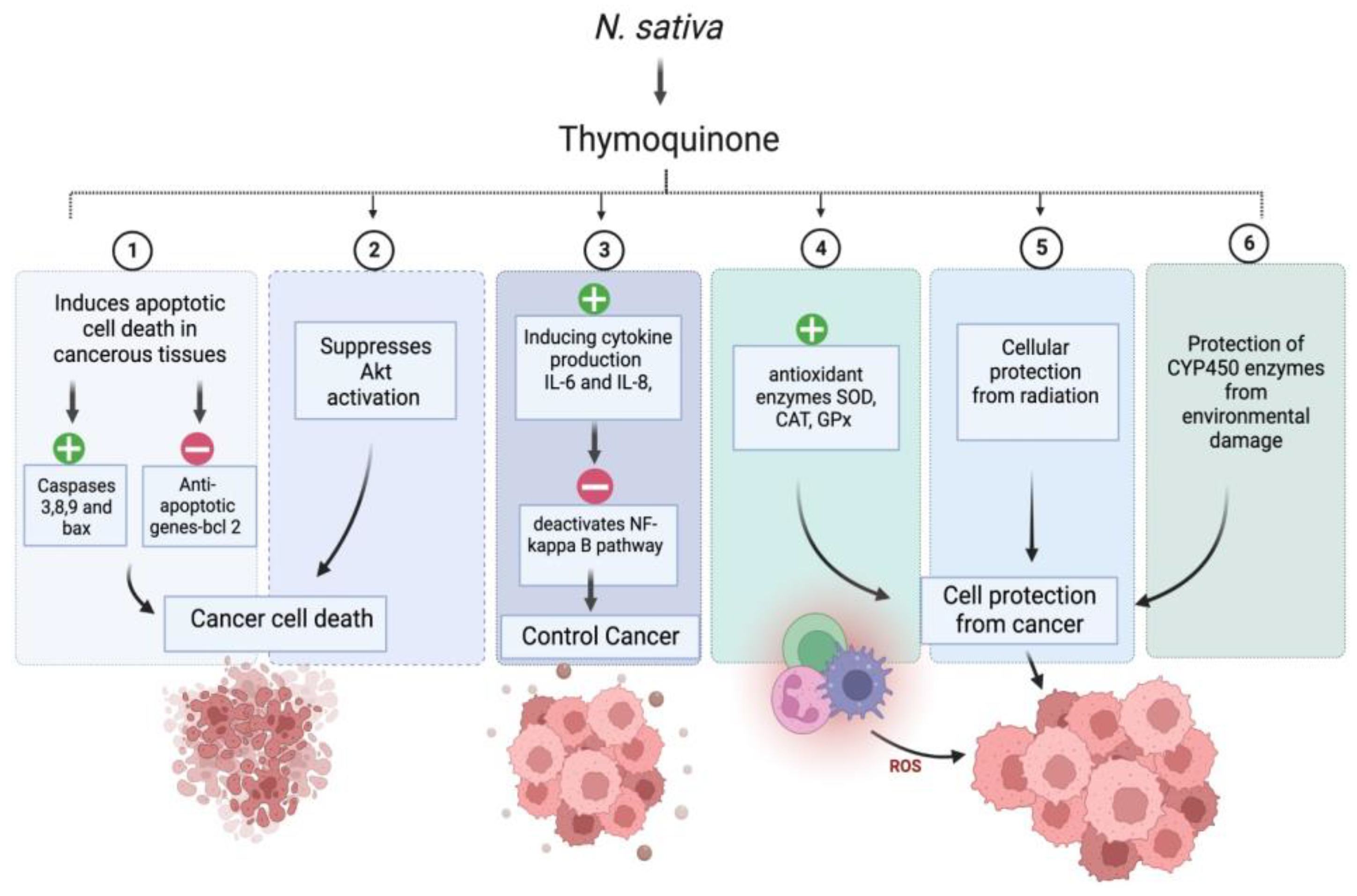 Plants 12 03829 g004 Plants 12 03829 g004