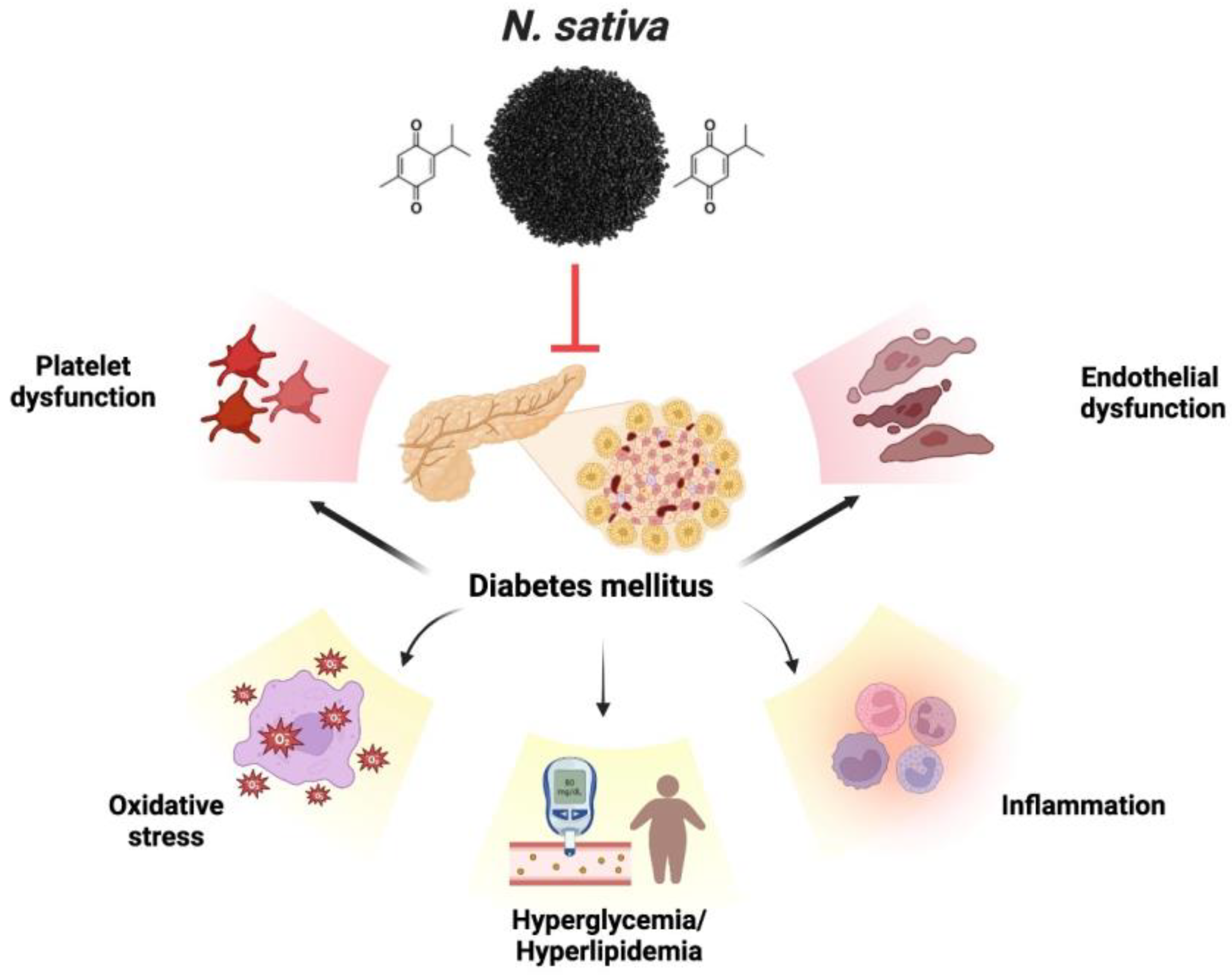 Plants 12 03829 g005 Plants 12 03829 g005