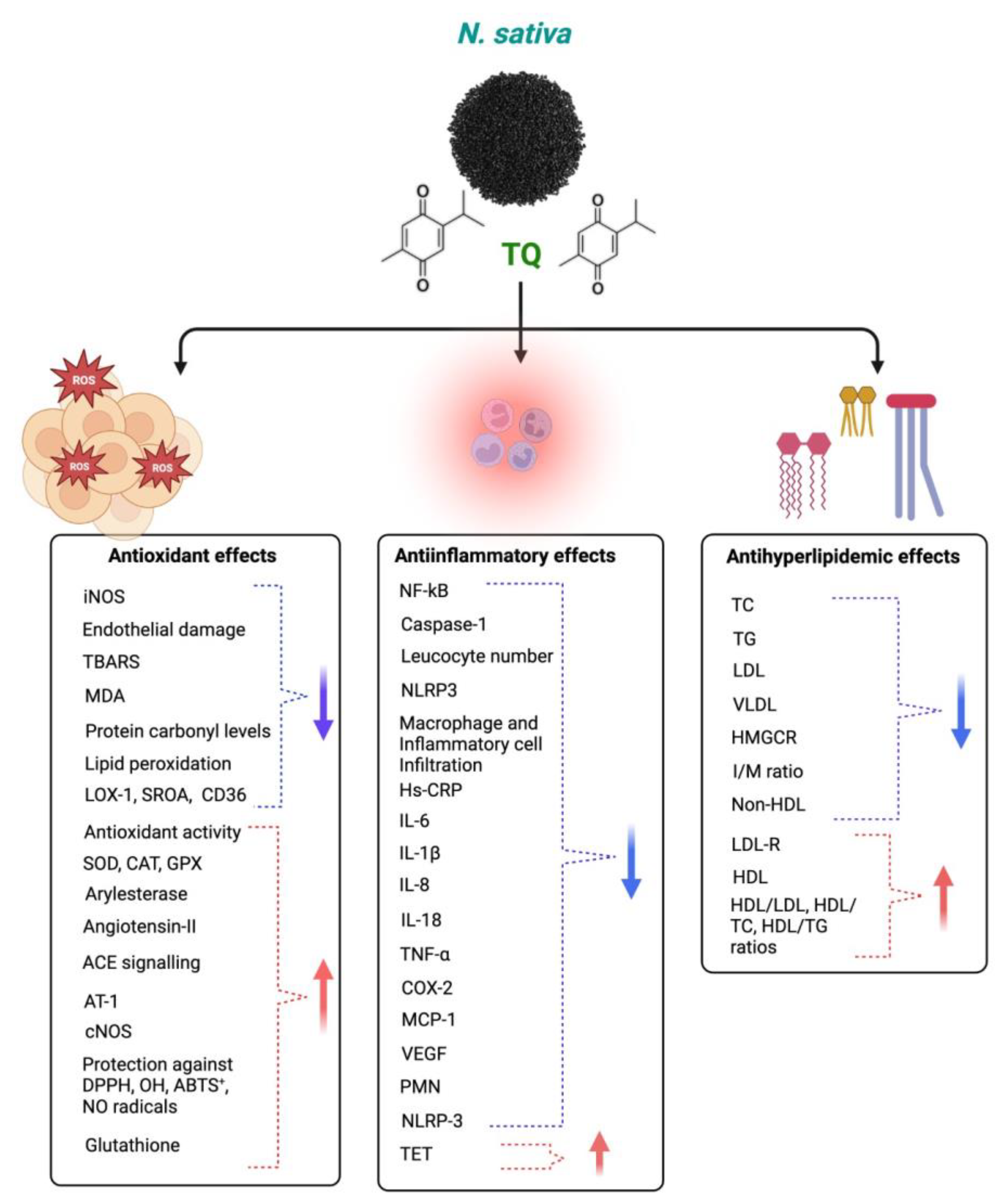Plants 12 03829 g006 Plants 12 03829 g006