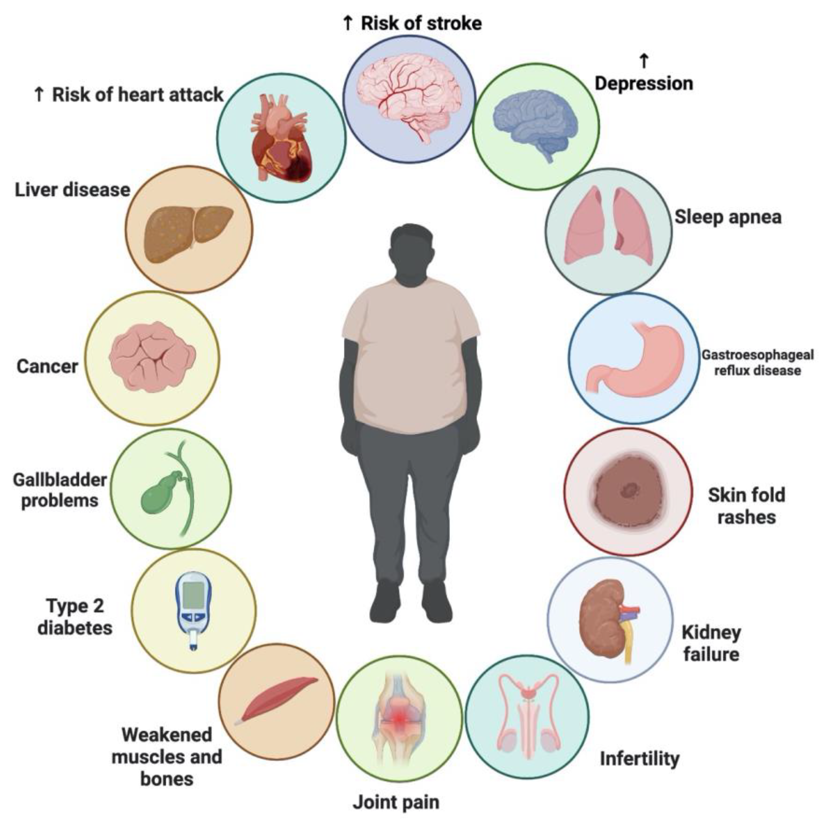 Plants 12 03829 g007 Plants 12 03829 g007