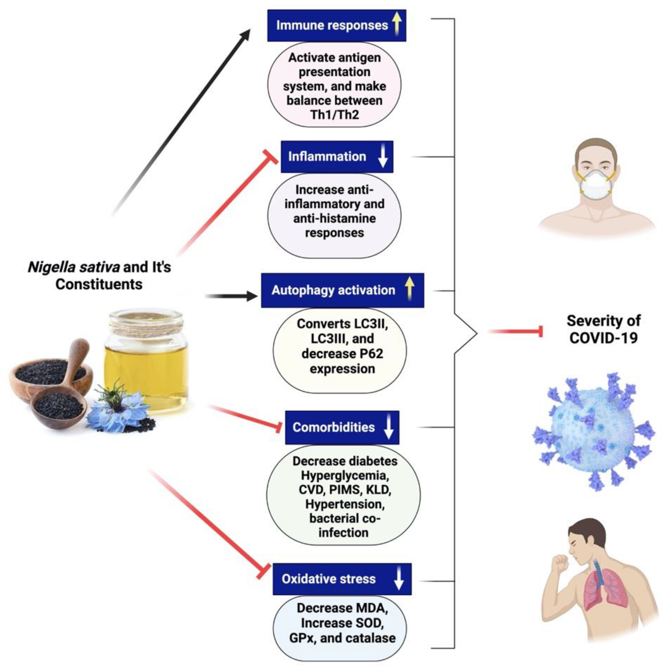 Plants 12 03829 g008 Plants 12 03829 g008