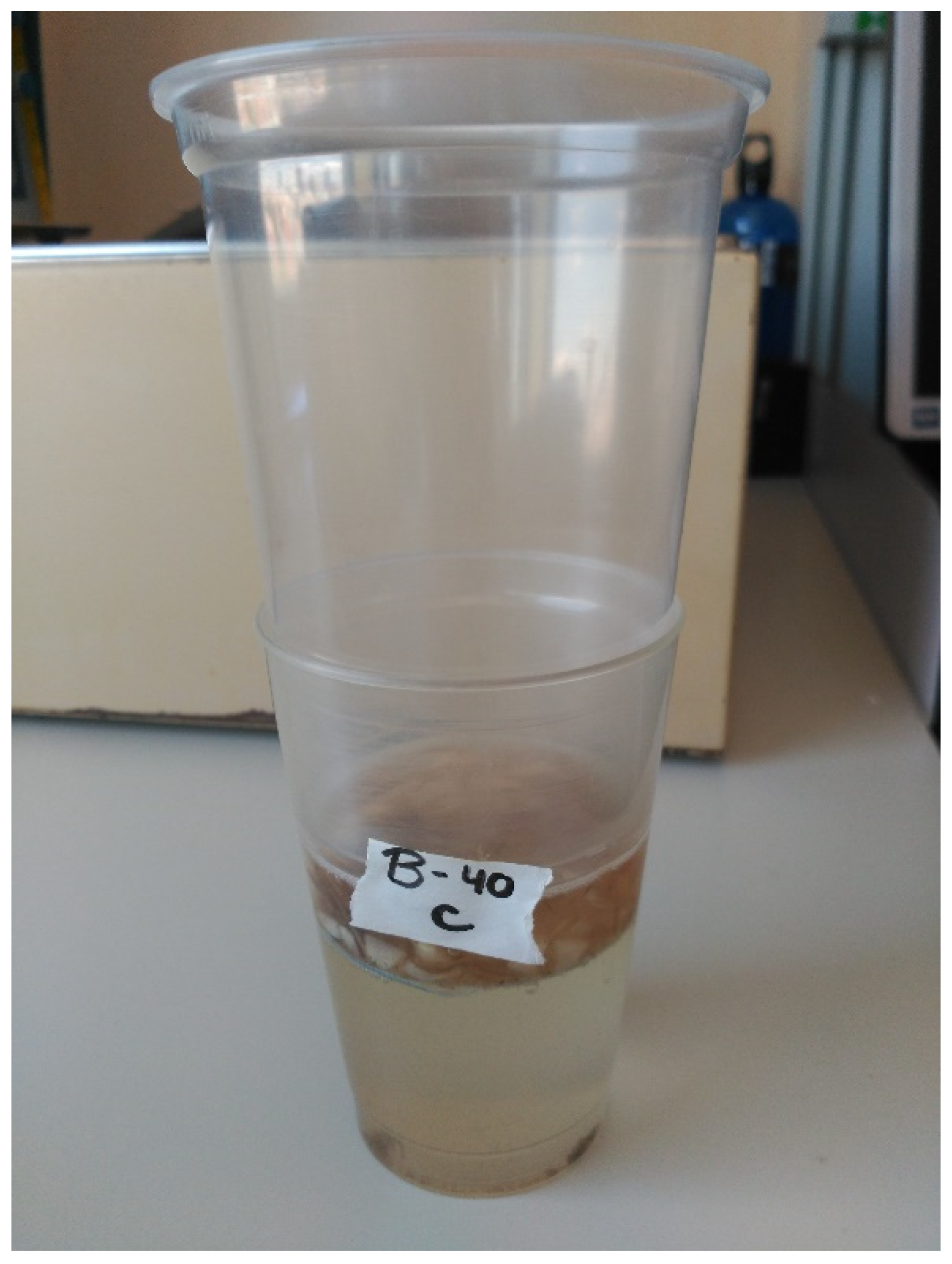 Plants 12 03845 g007