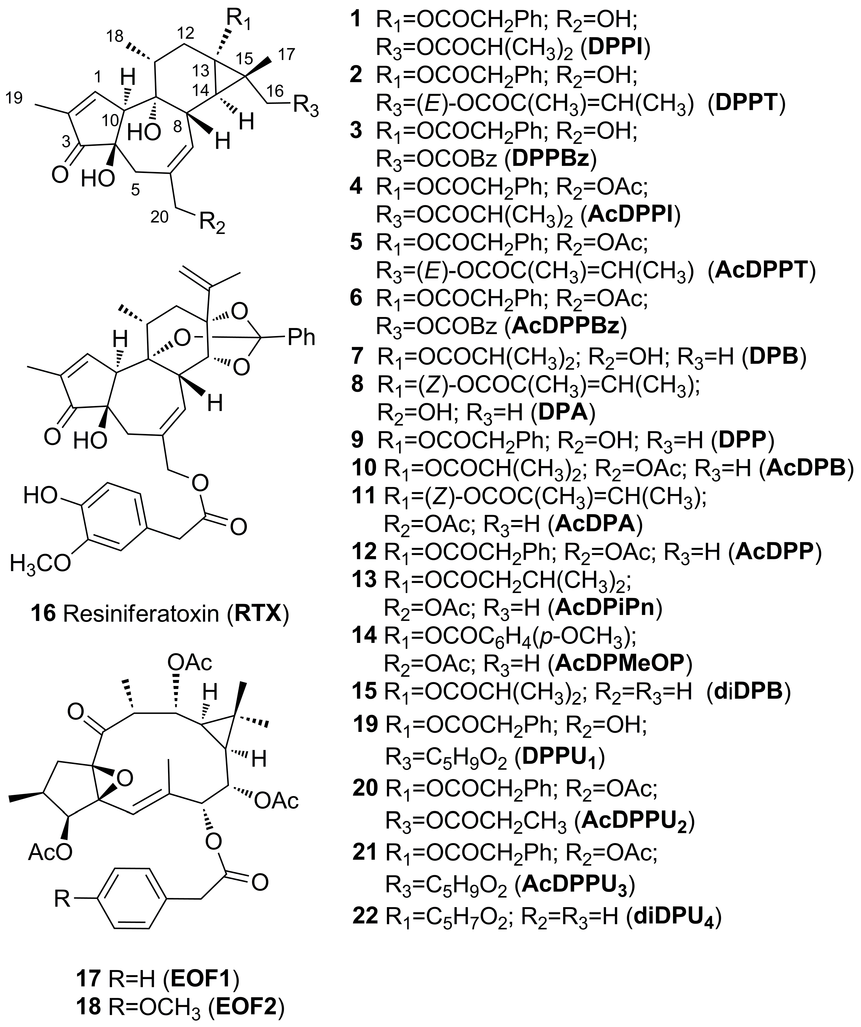 Plants 12 03846 g001
