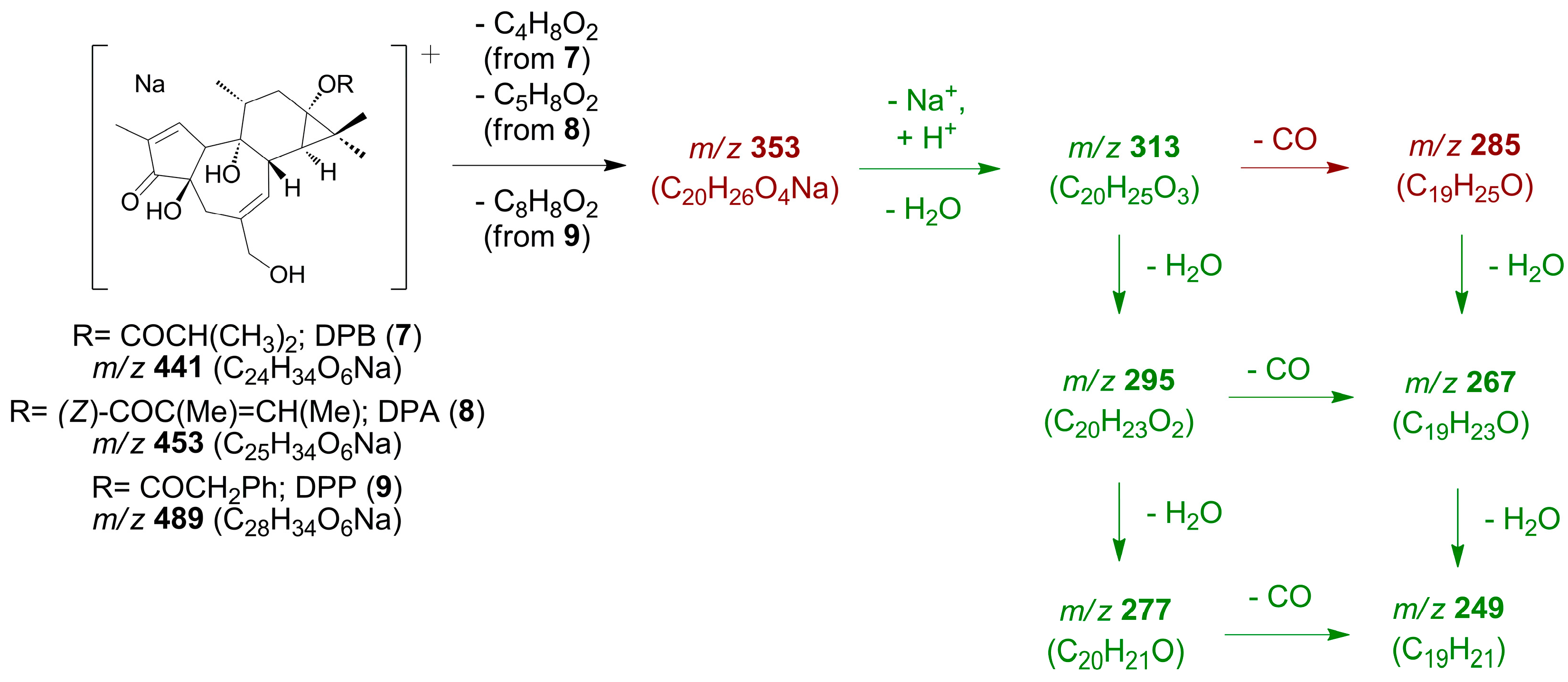 Plants 12 03846 sch003