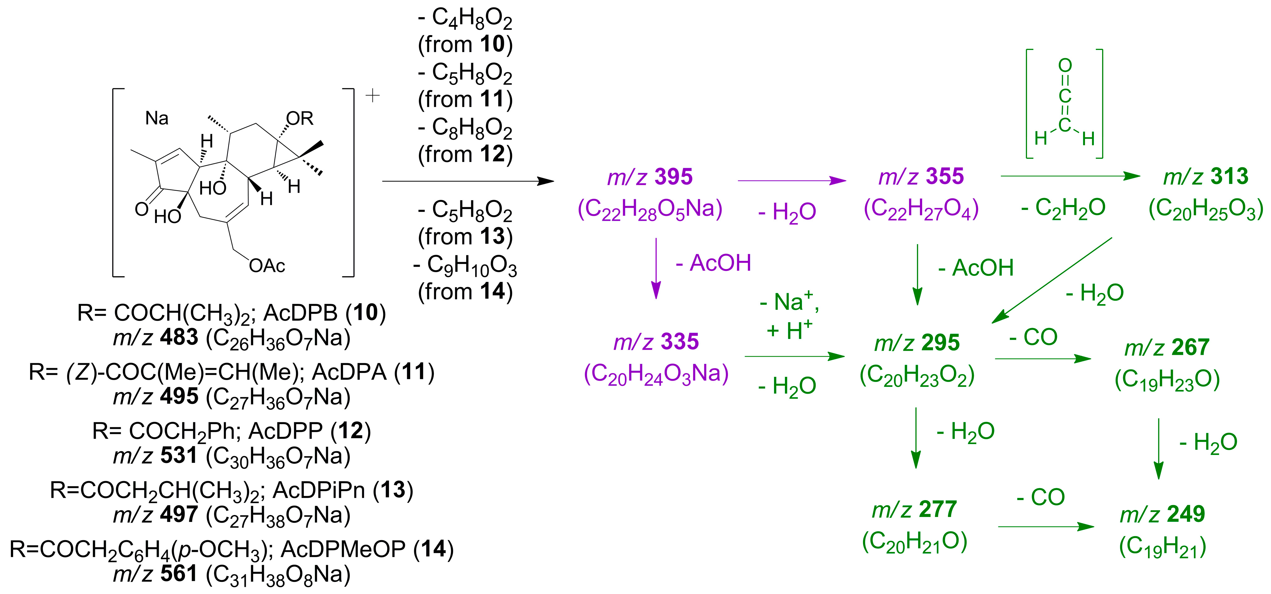 Plants 12 03846 sch004