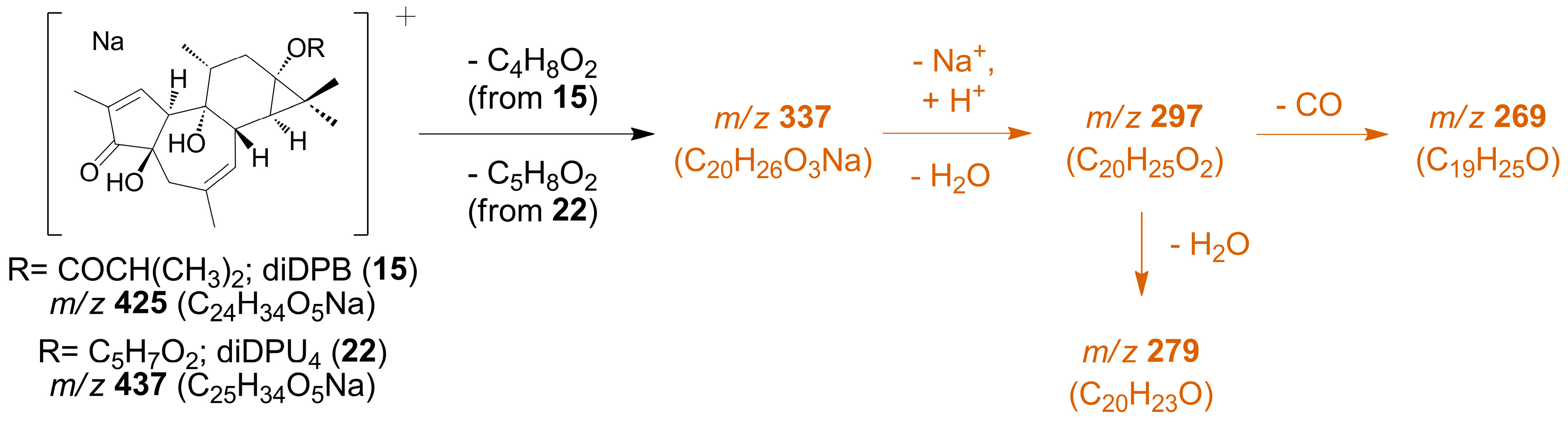 Plants 12 03846 sch005