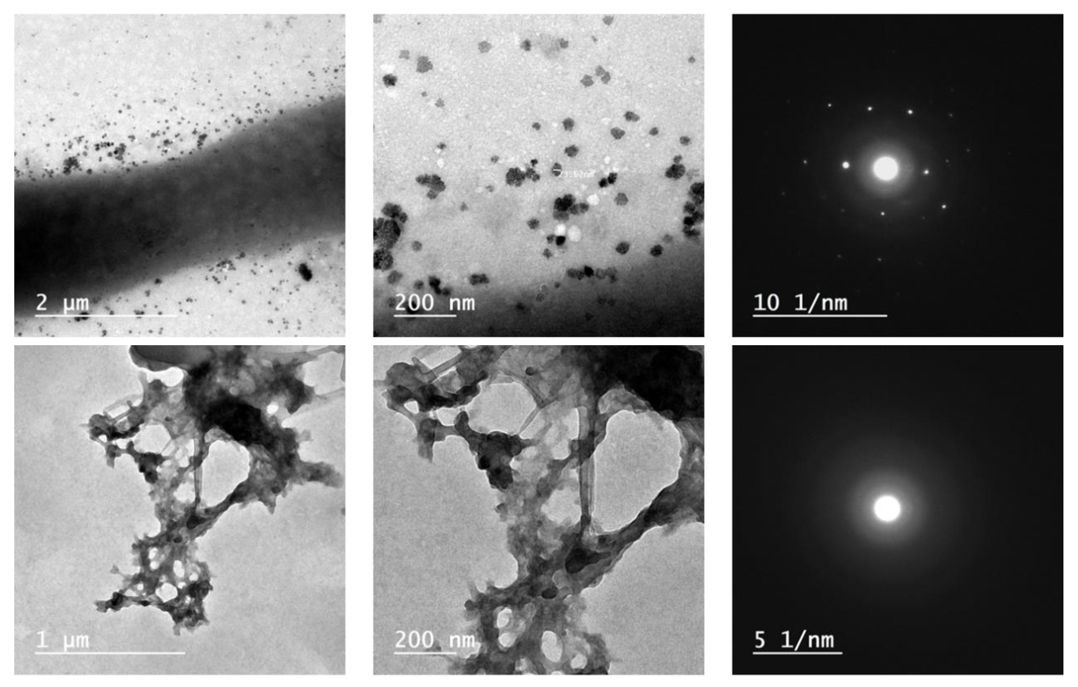 Plants 12 03848 g006