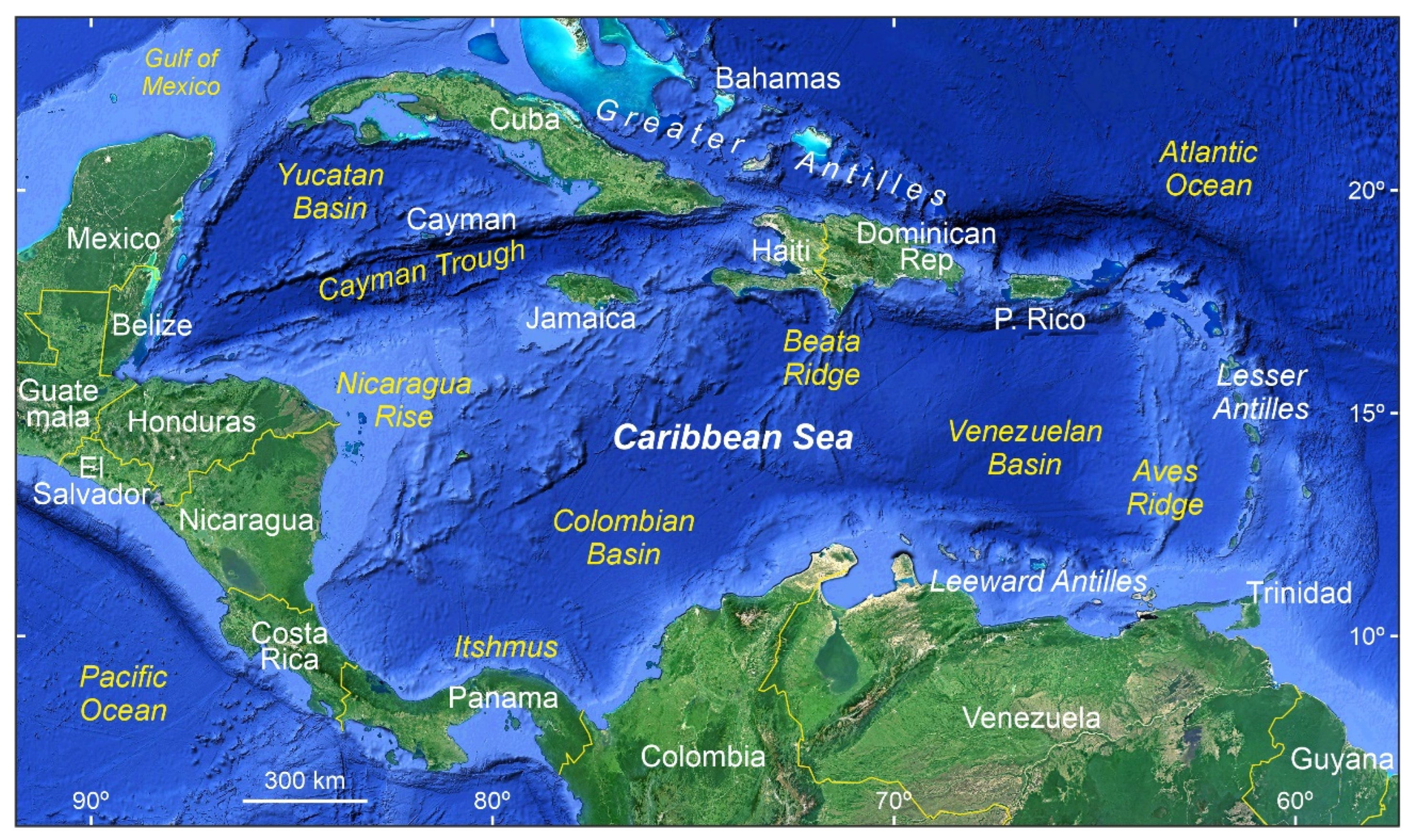 Plants 12 03852 g002