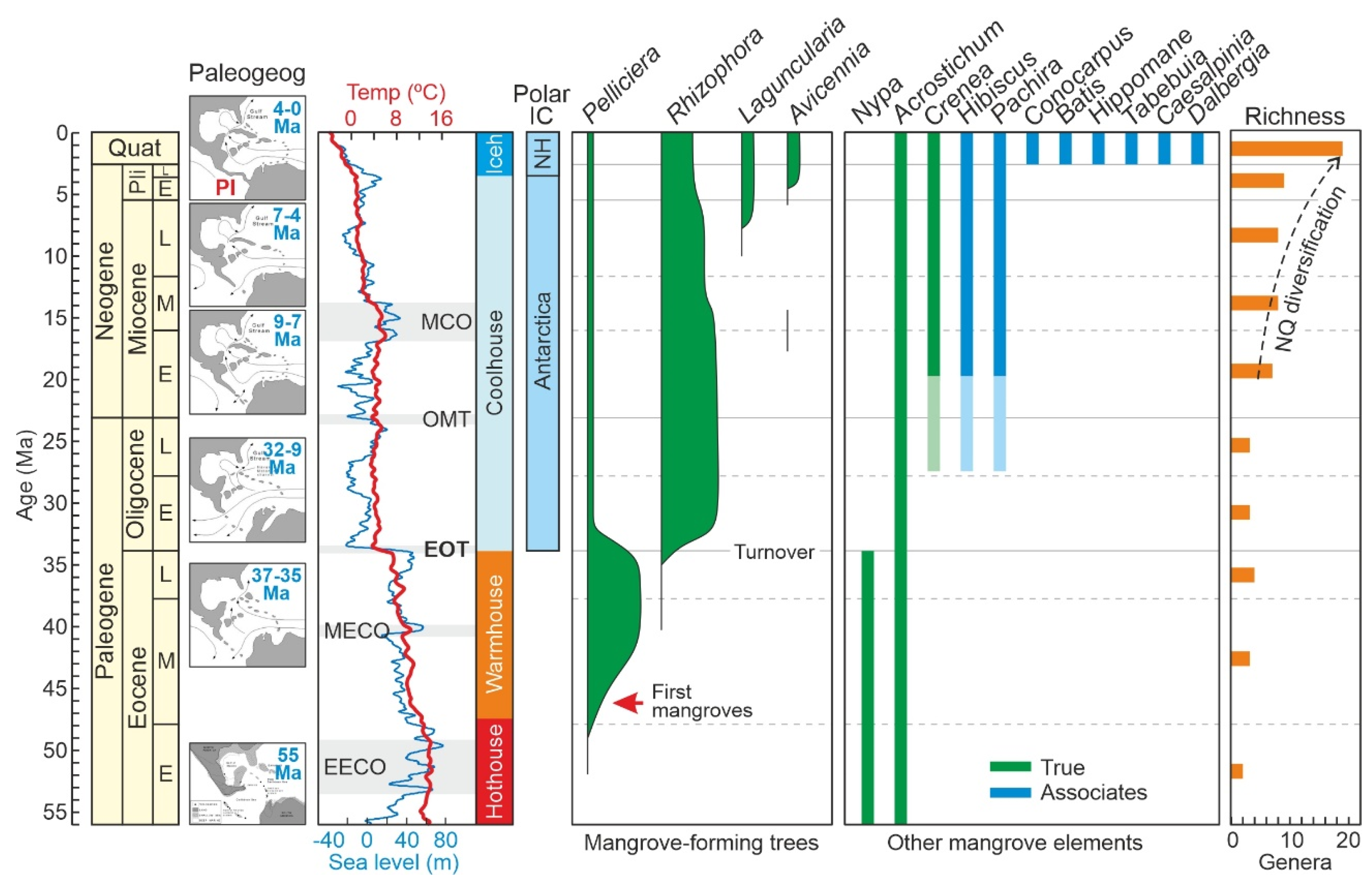 Plants 12 03852 g003