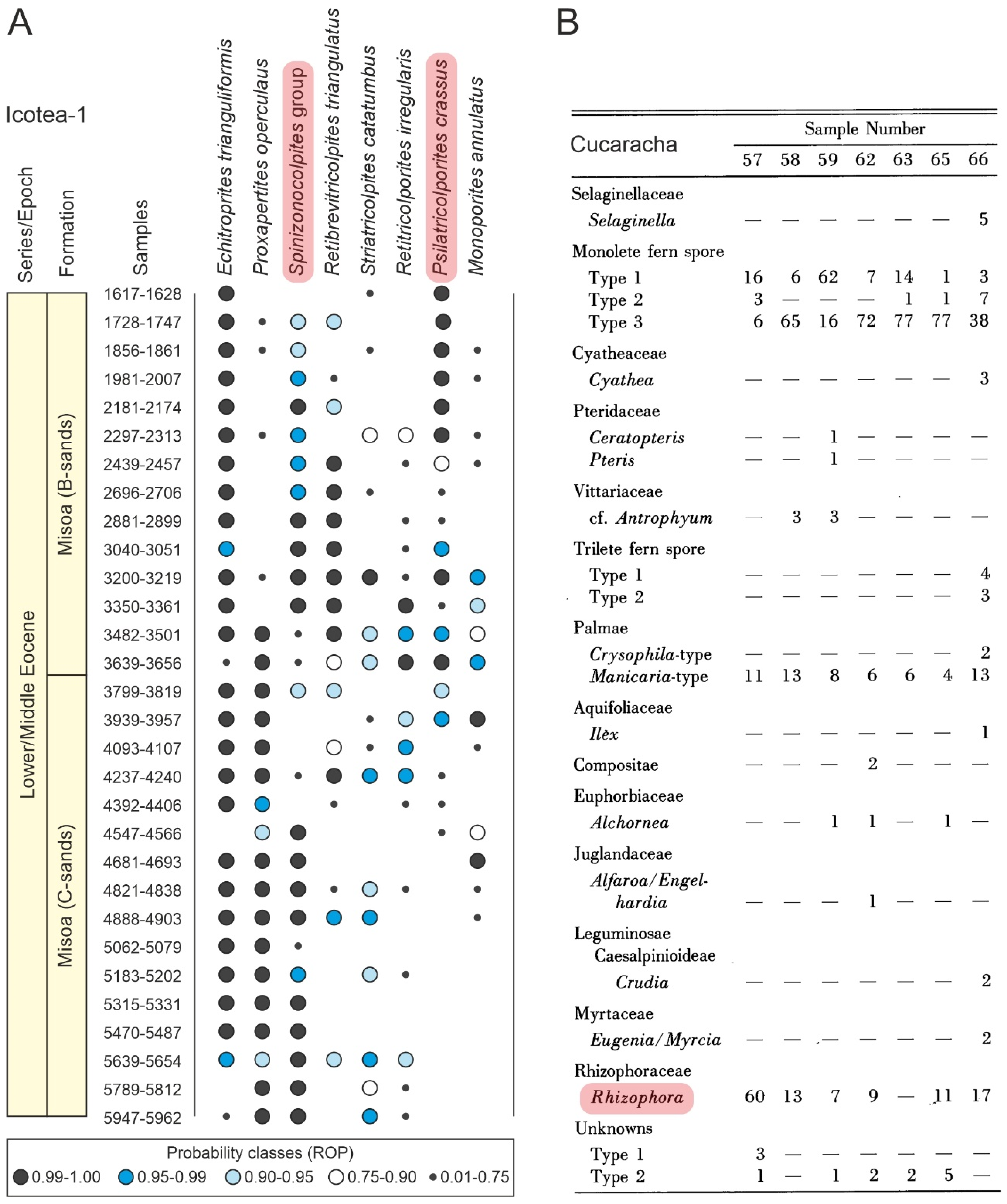Plants 12 03852 g011