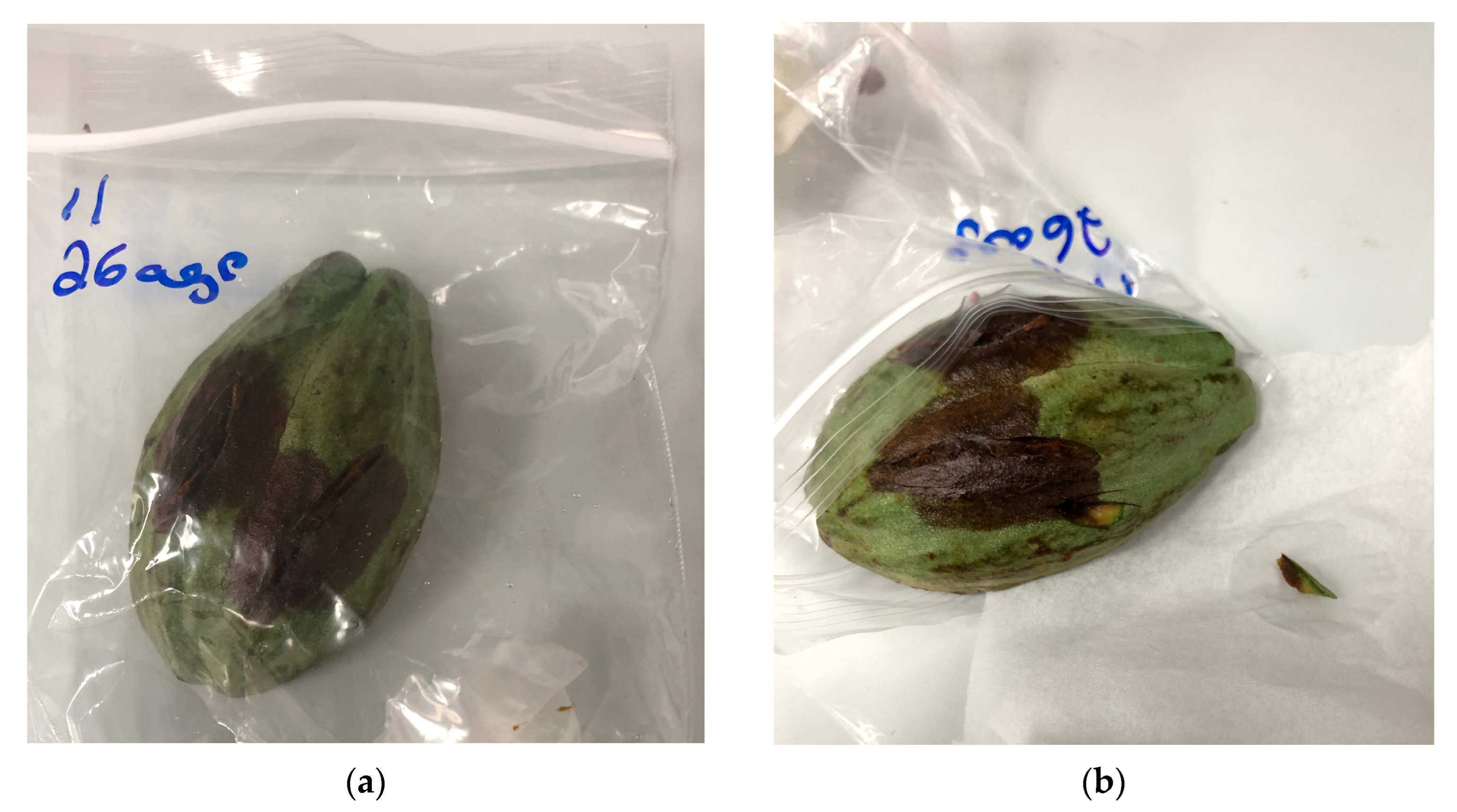 Plants 12 03855 g005