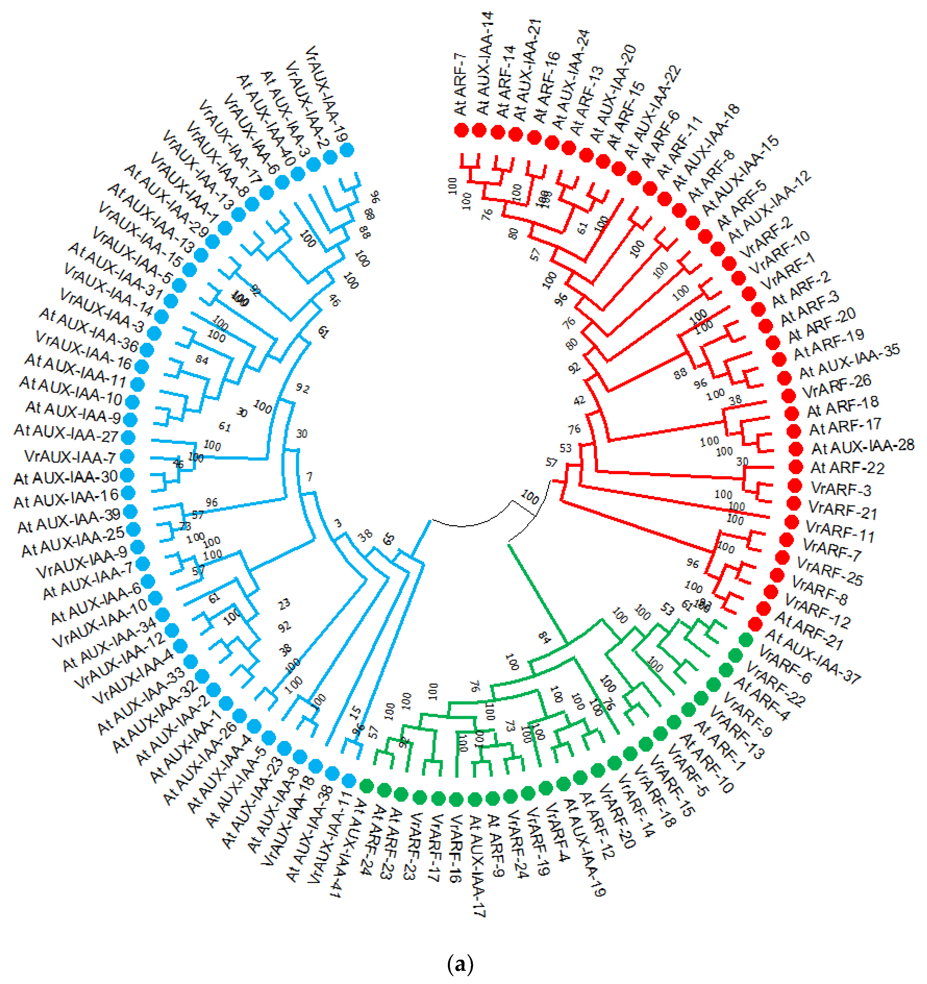 Plants 12 03858 g001a