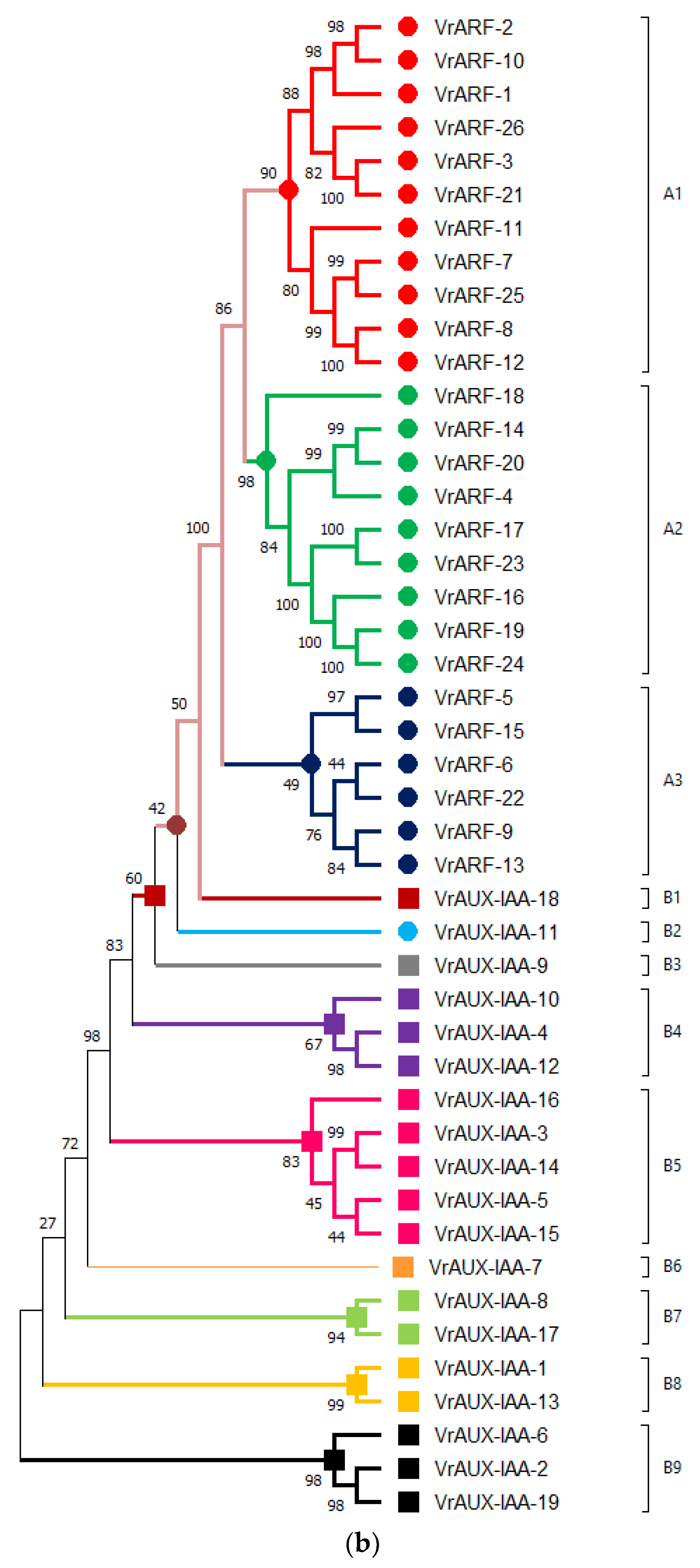 Plants 12 03858 g001b
