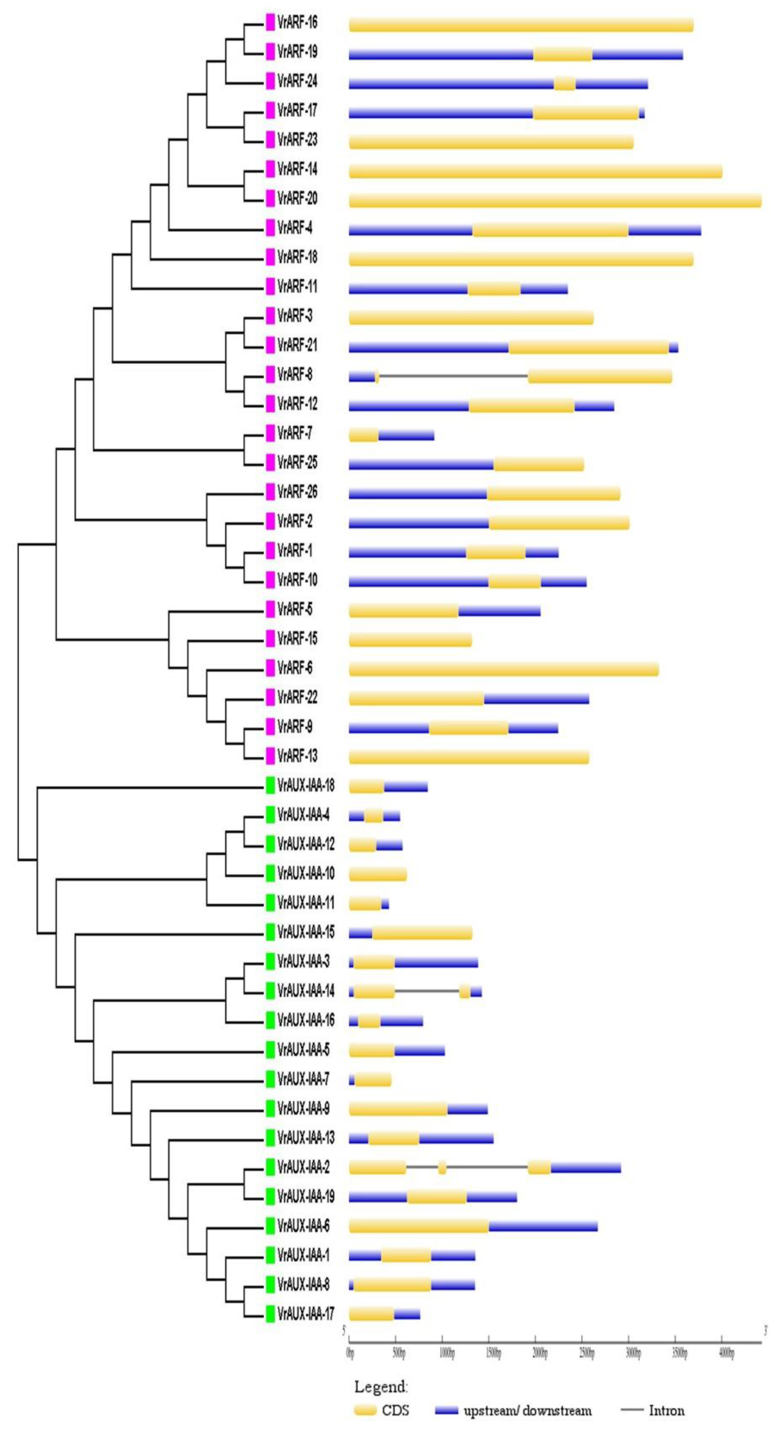 Plants 12 03858 g002