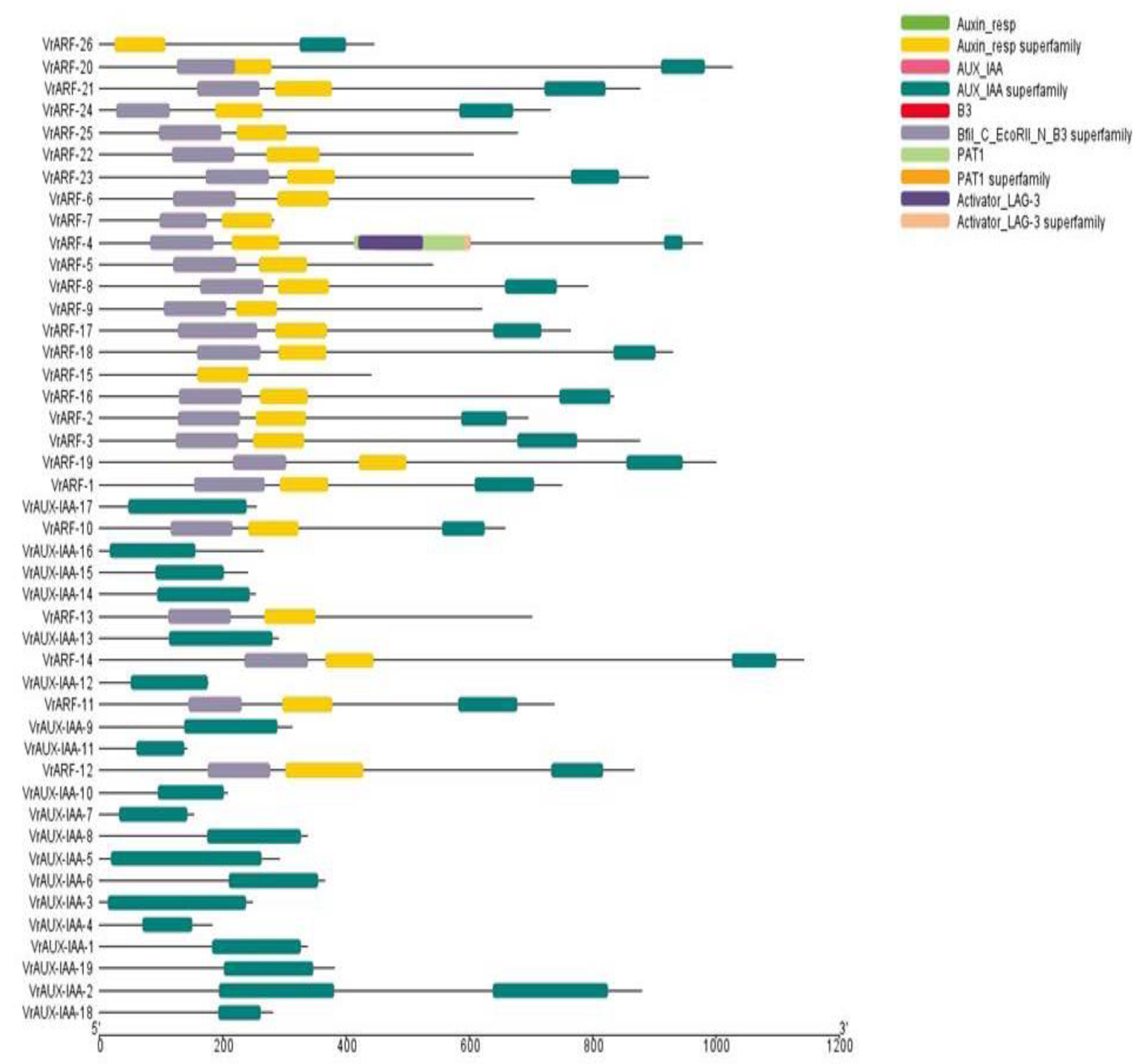 Plants 12 03858 g003