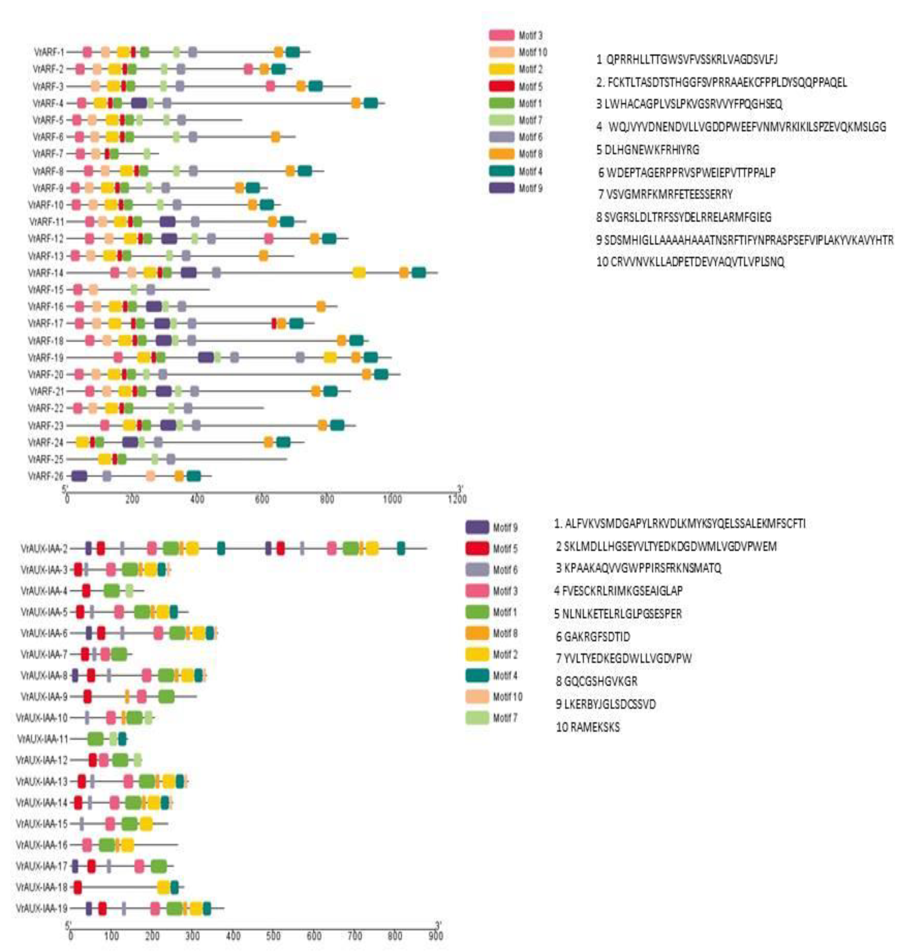 Plants 12 03858 g004