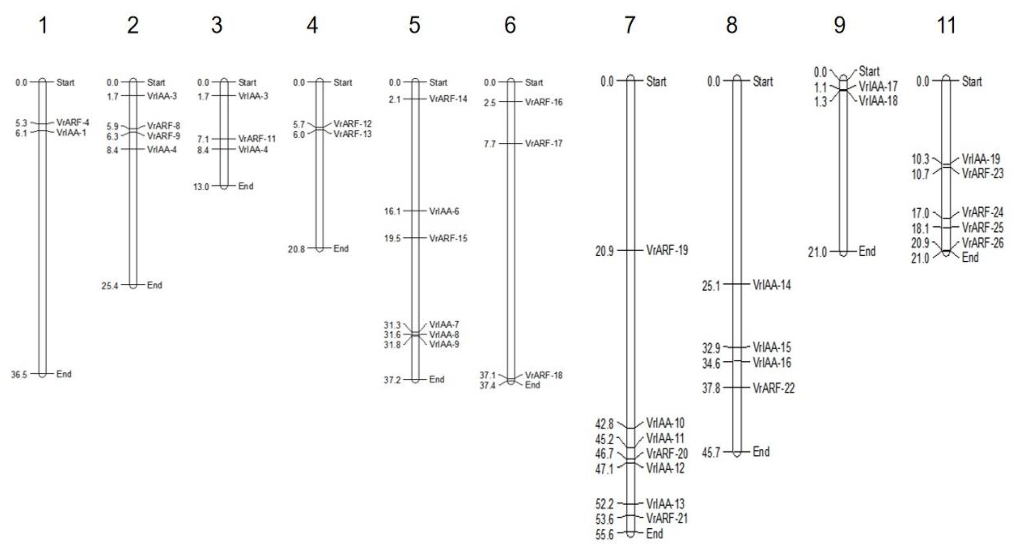 Plants 12 03858 g005