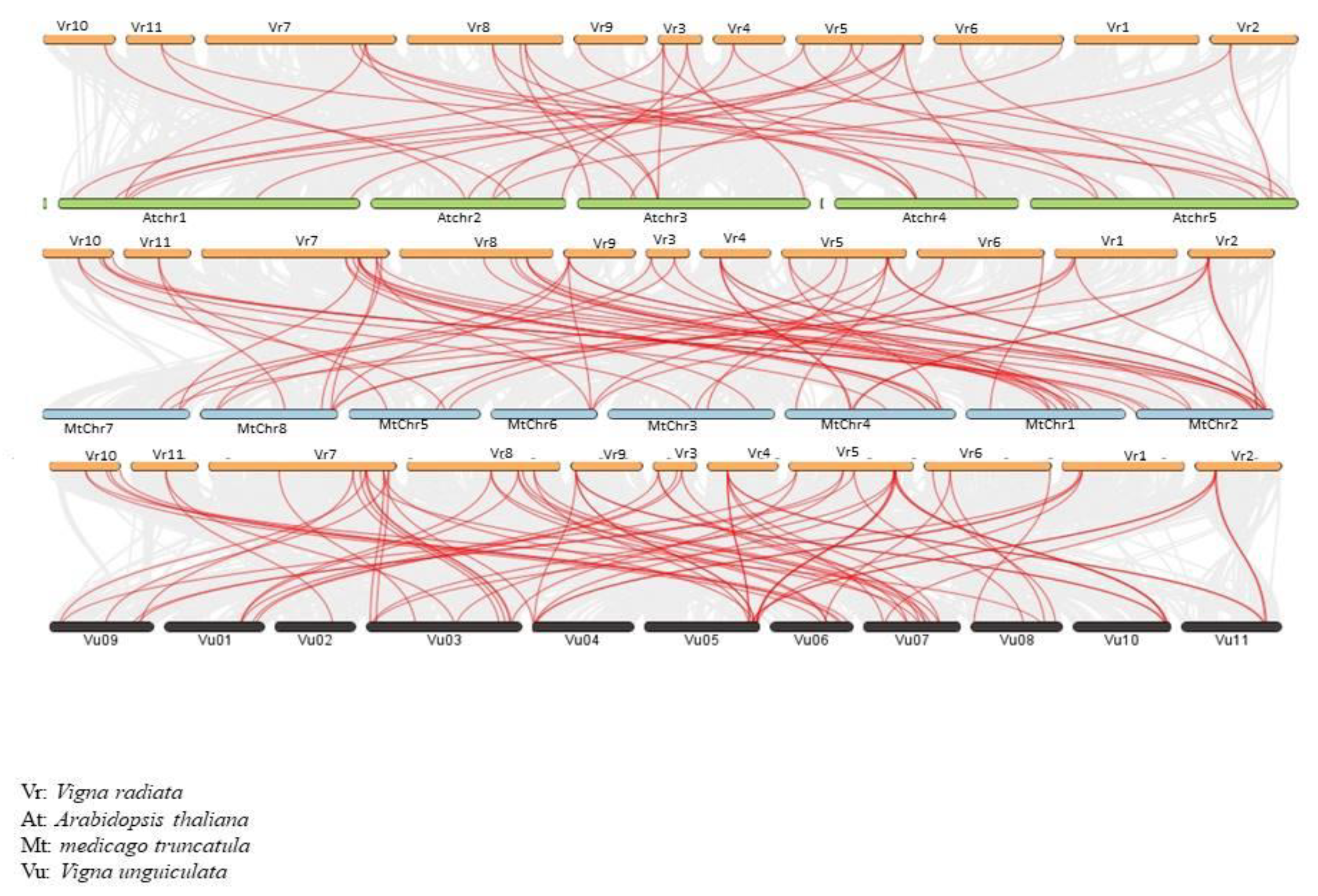 Plants 12 03858 g006