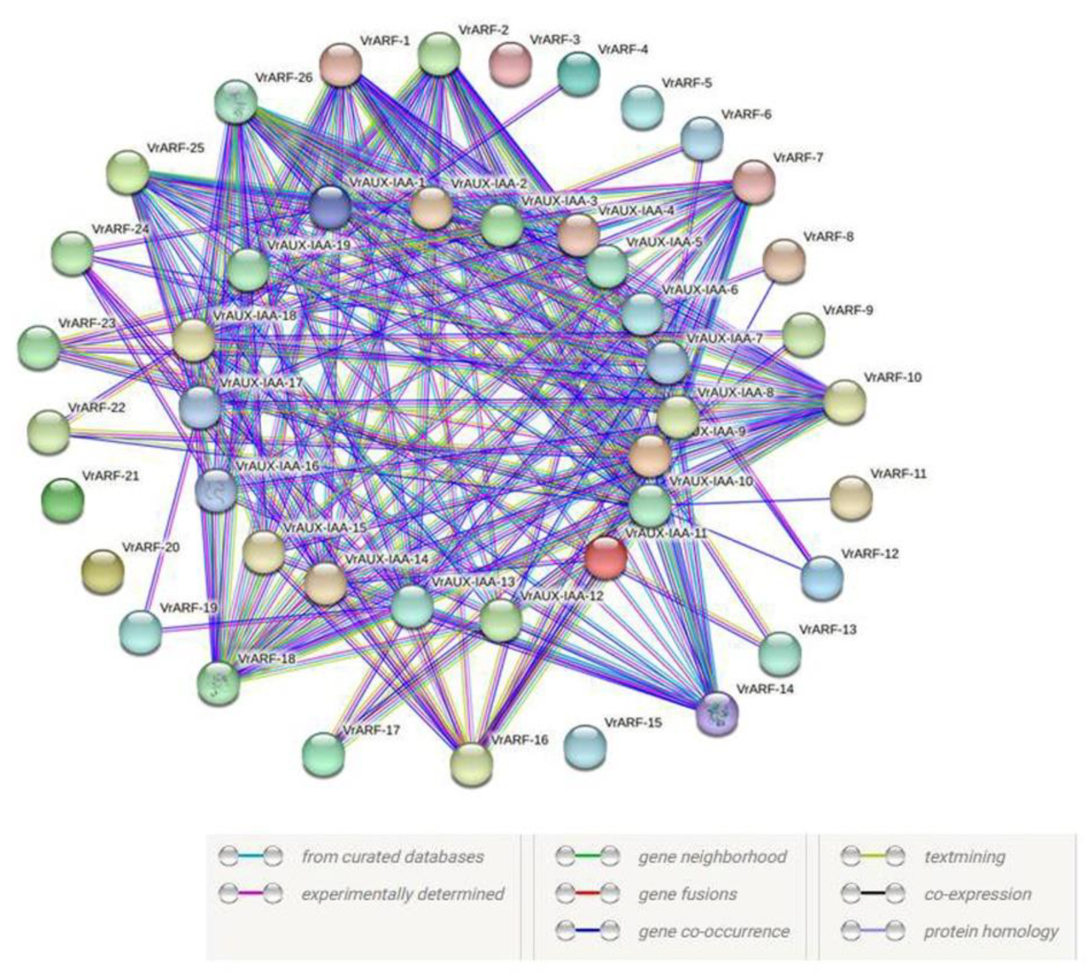Plants 12 03858 g007