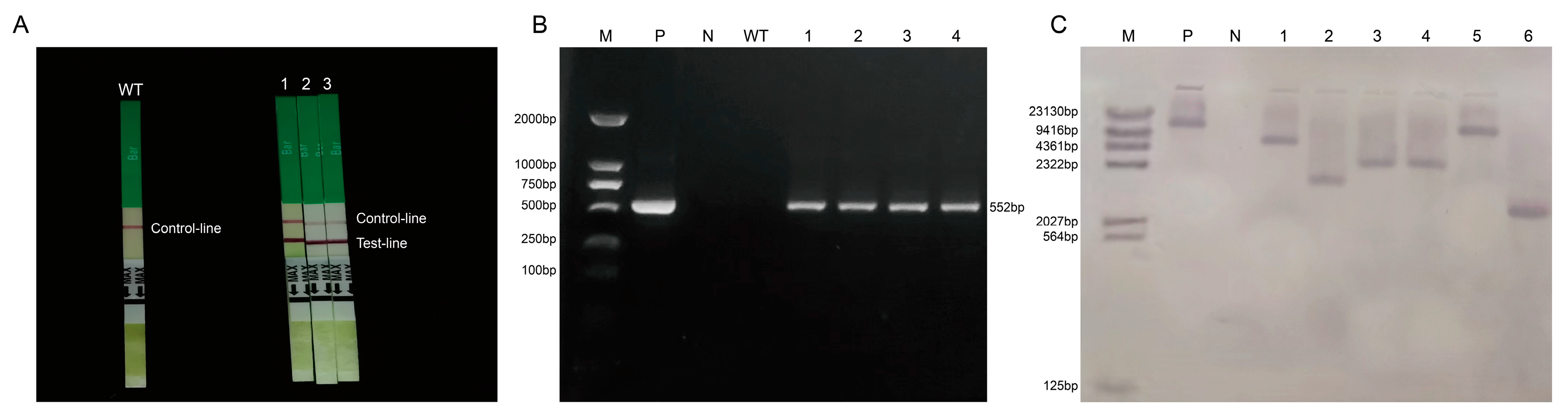 Plants 12 03869 g005