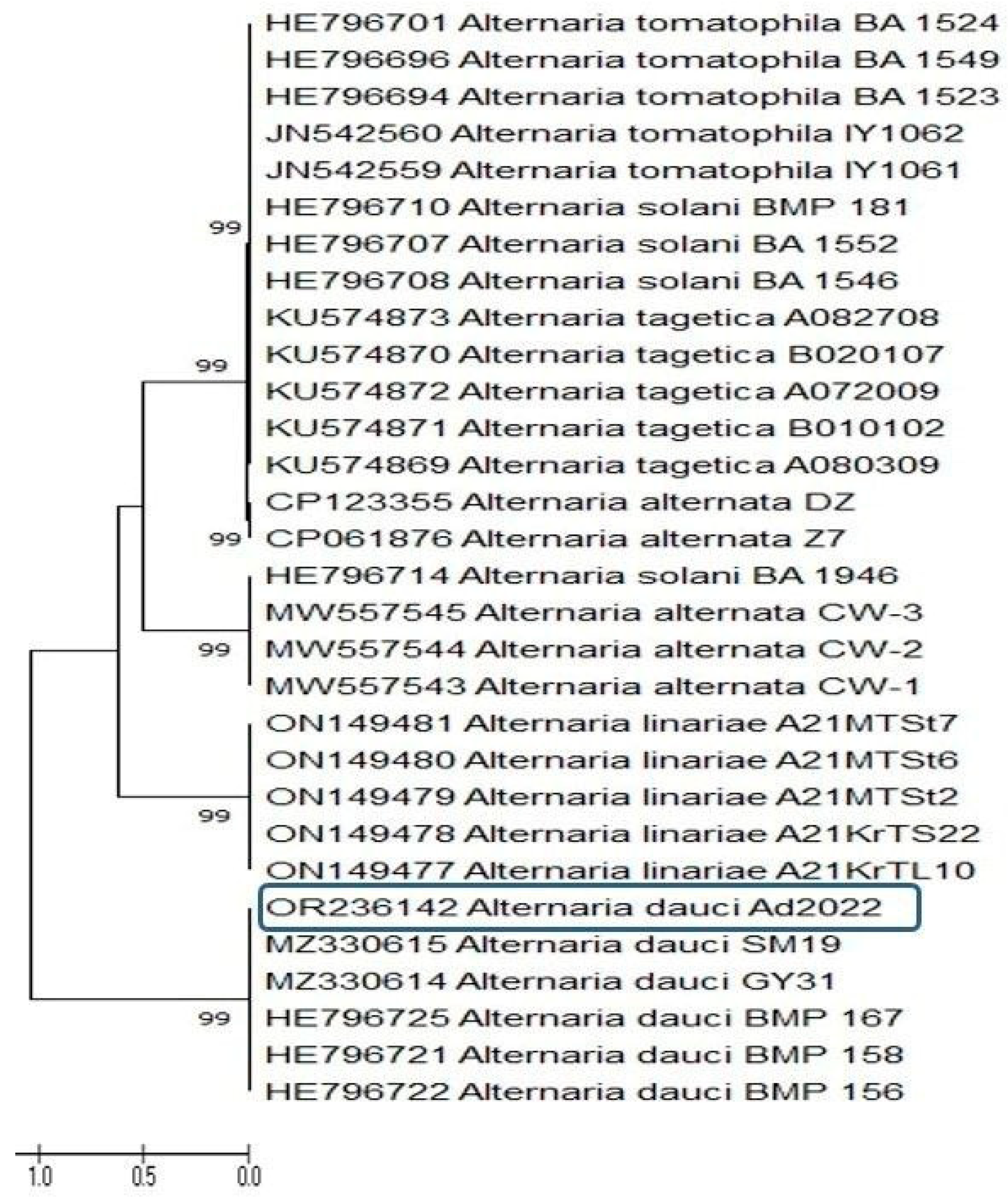 Plants 12 03872 g005
