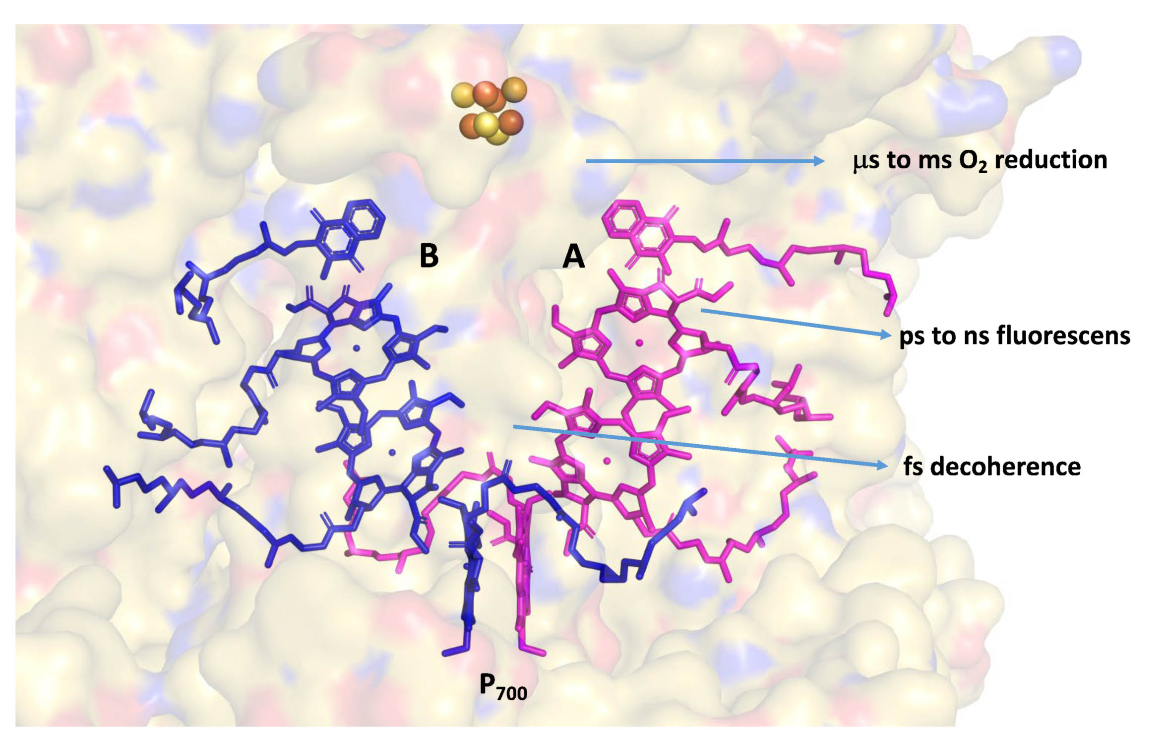 Plants 12 03878 g001 Plants 12 03878 g001