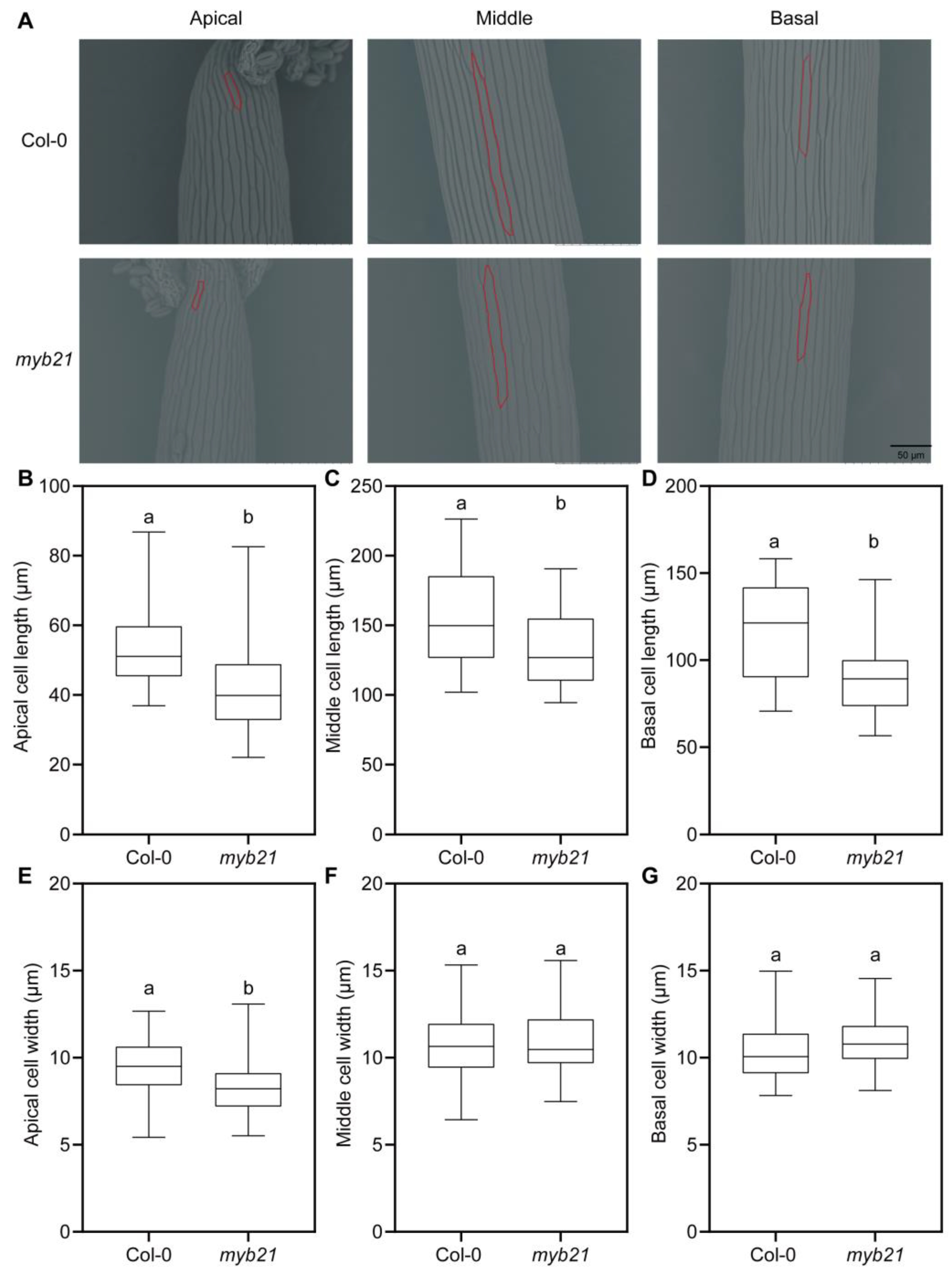 Plants 12 03884 g003