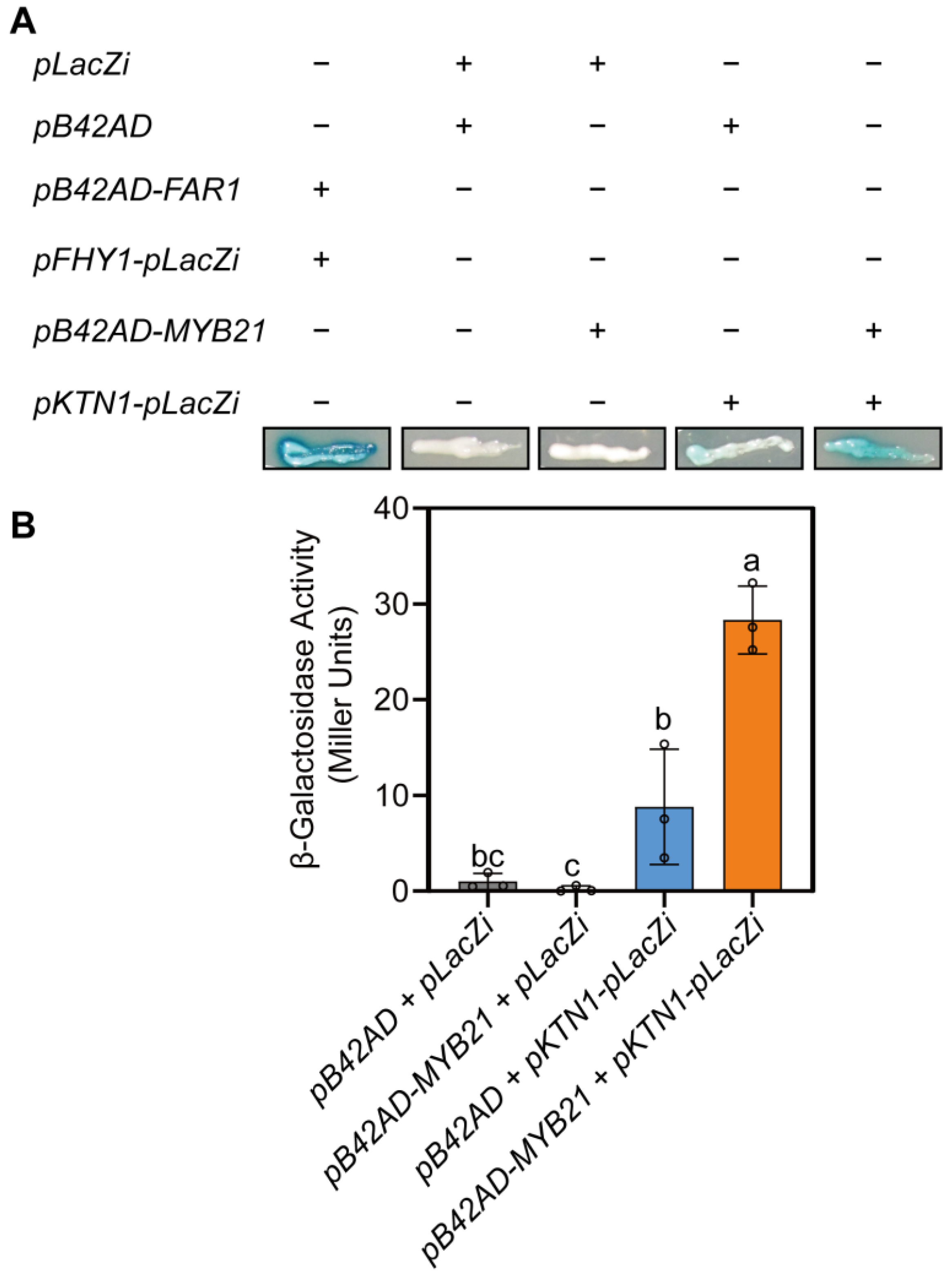 Plants 12 03884 g005