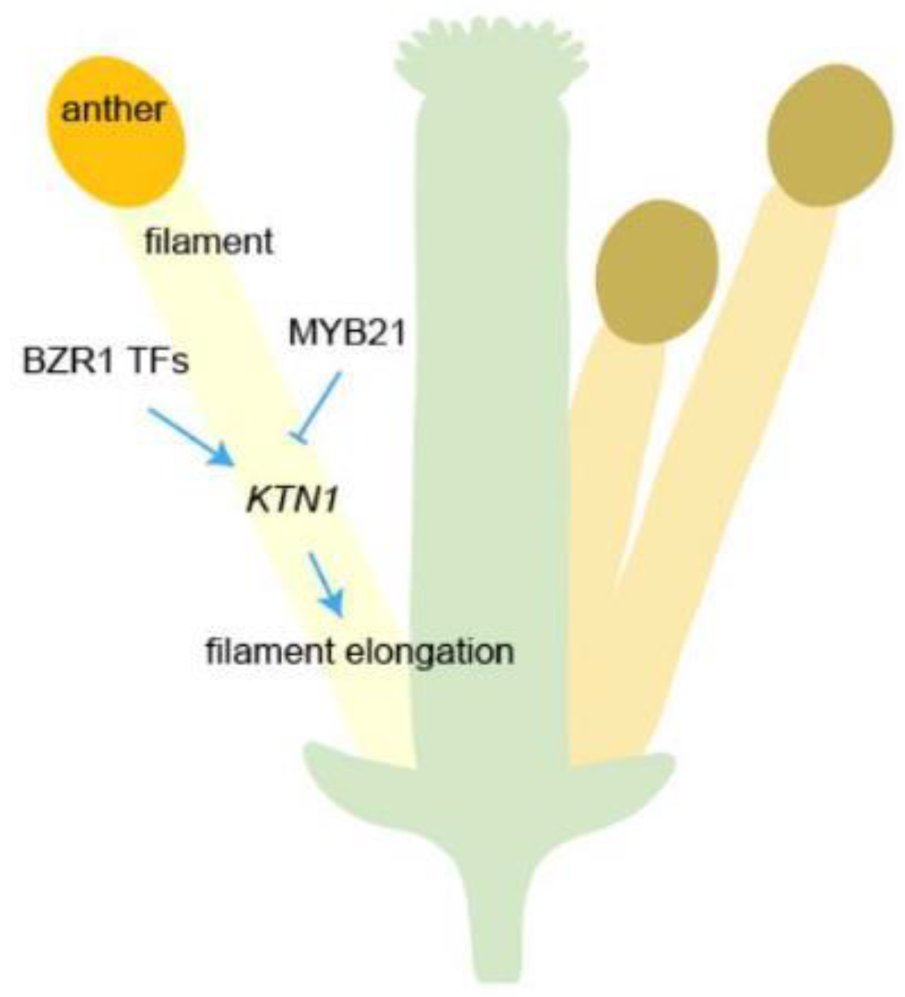 Plants 12 03884 g007