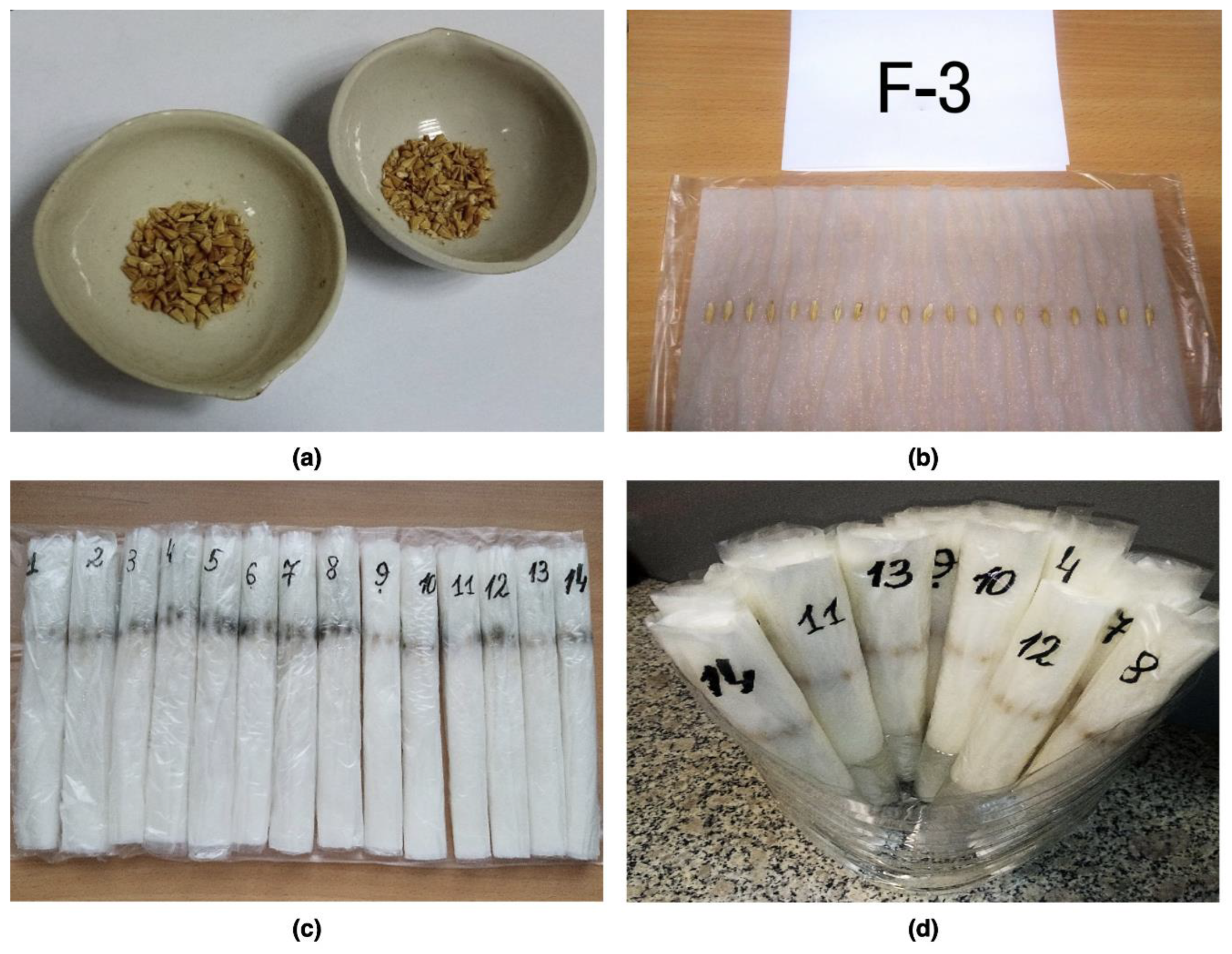 Plants 12 03892 g002 Plants 12 03892 g002