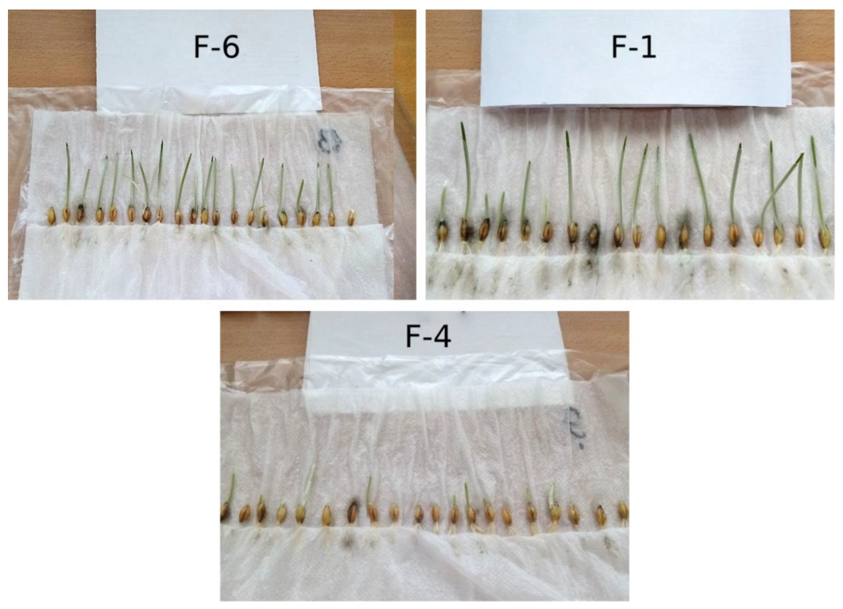 Plants 12 03892 g005 Plants 12 03892 g005