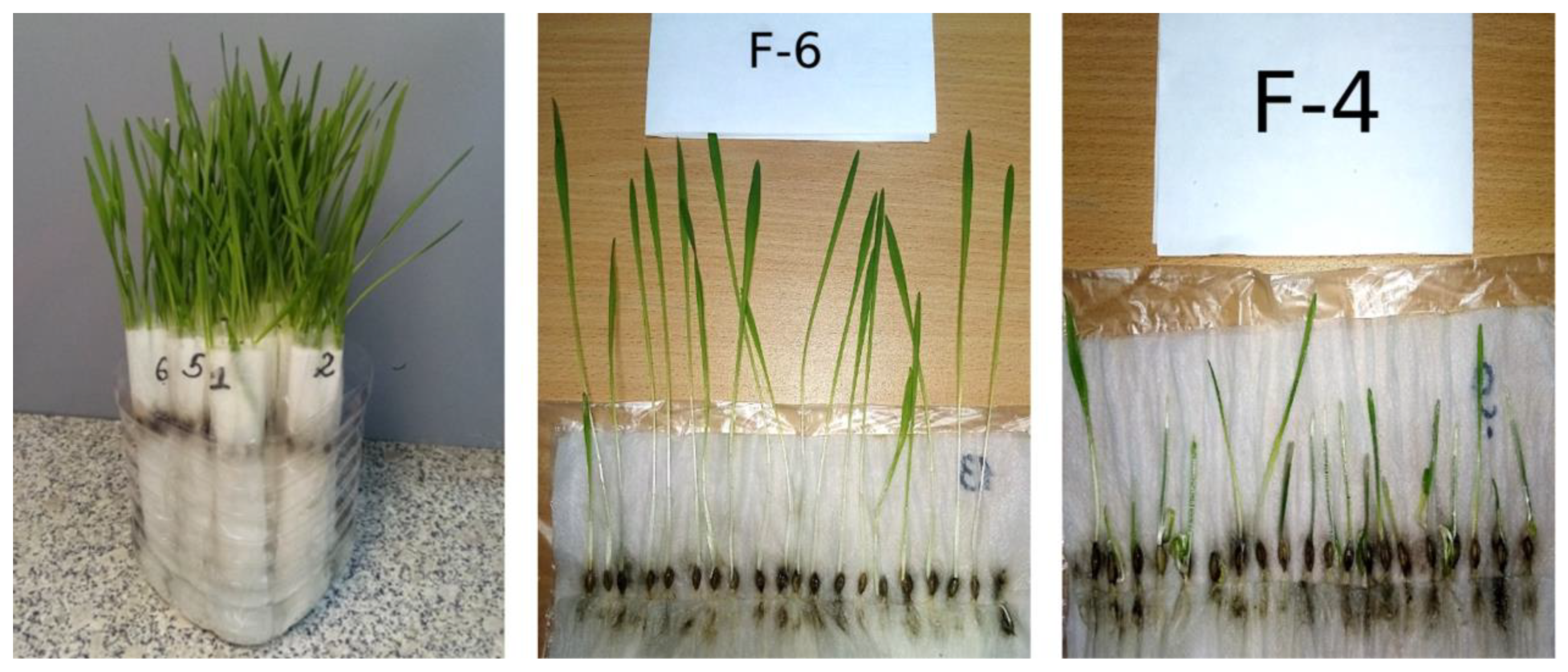 Plants 12 03892 g006 Plants 12 03892 g006