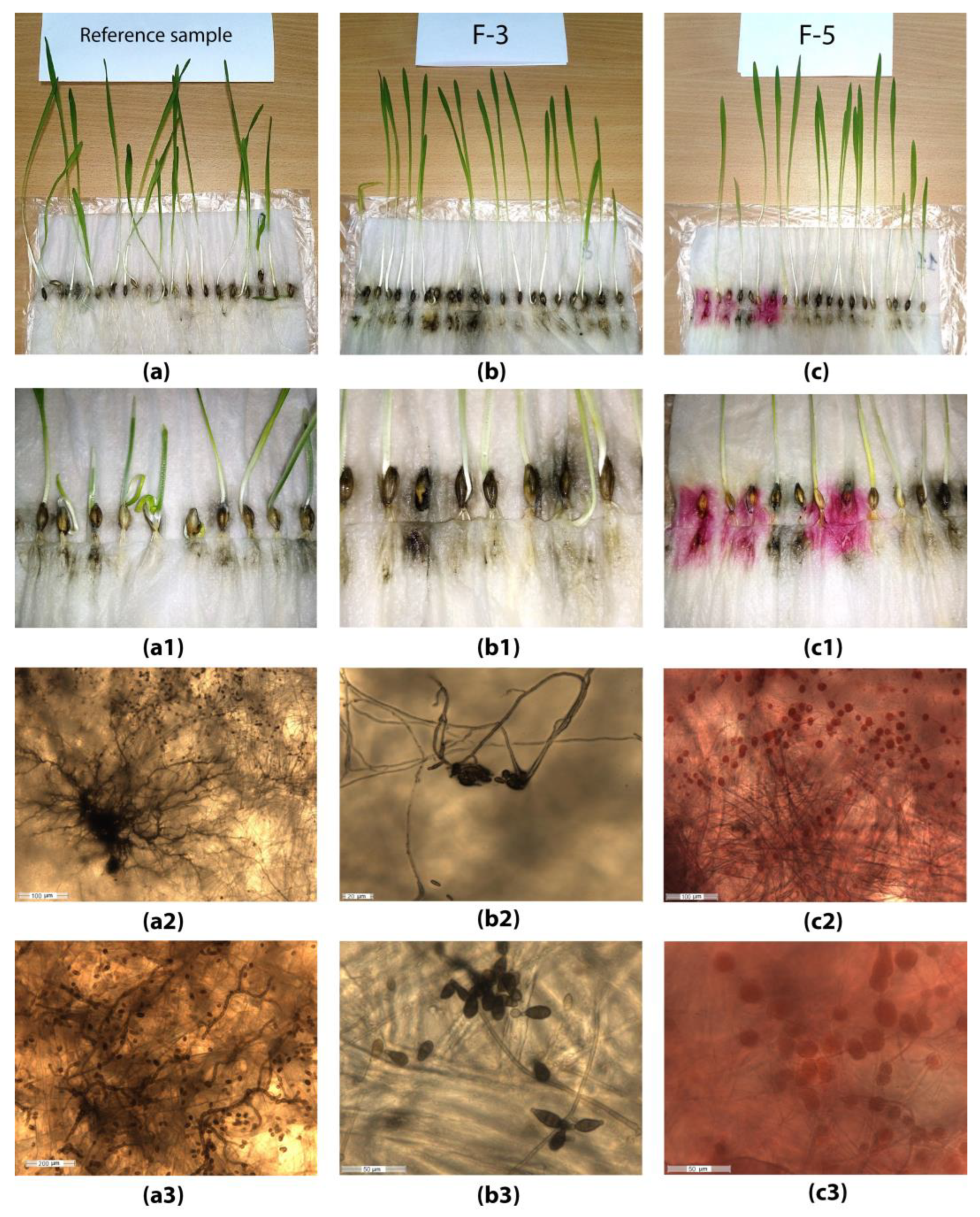 Plants 12 03892 g010 Plants 12 03892 g010