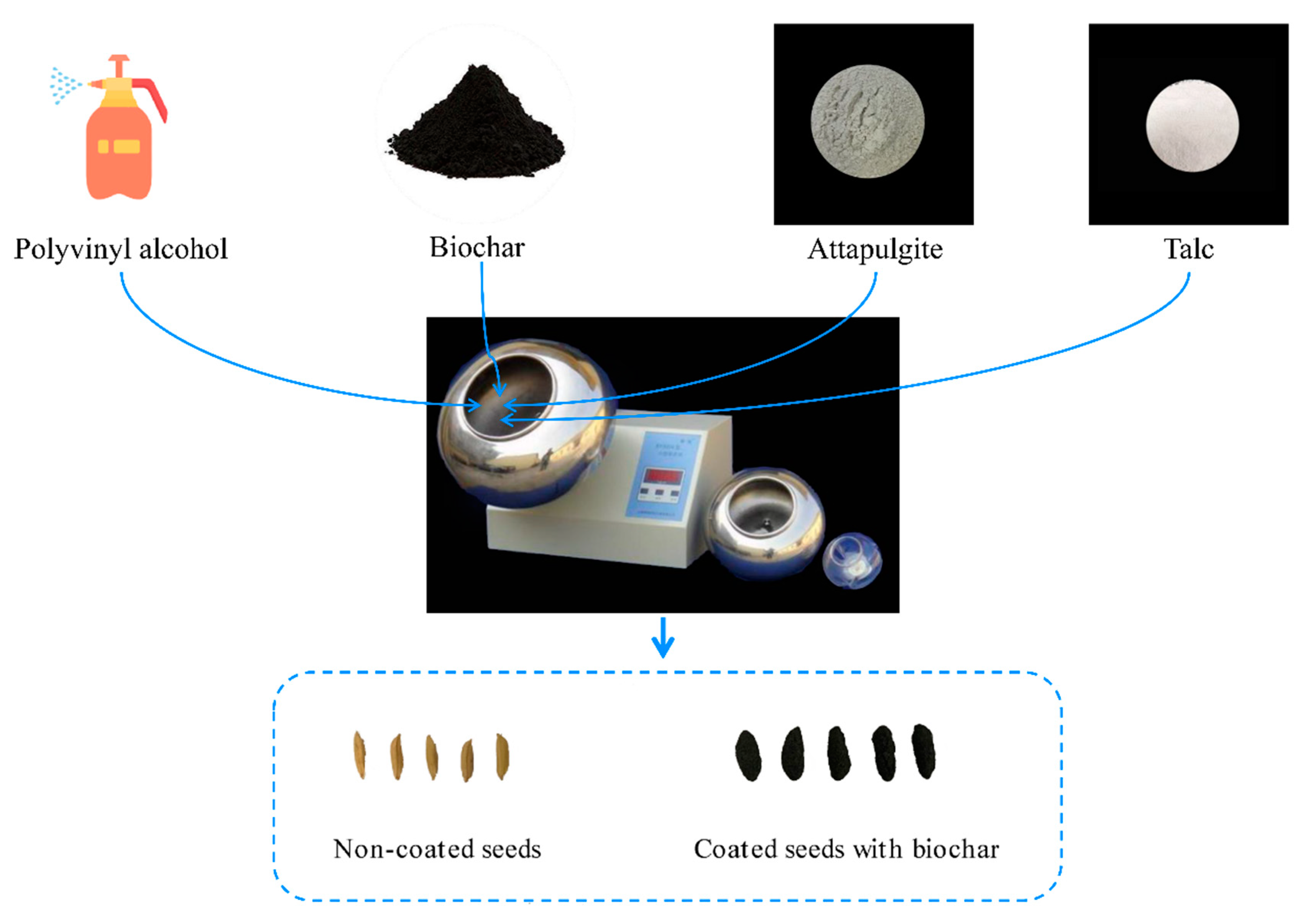 Plants 12 03896 g001