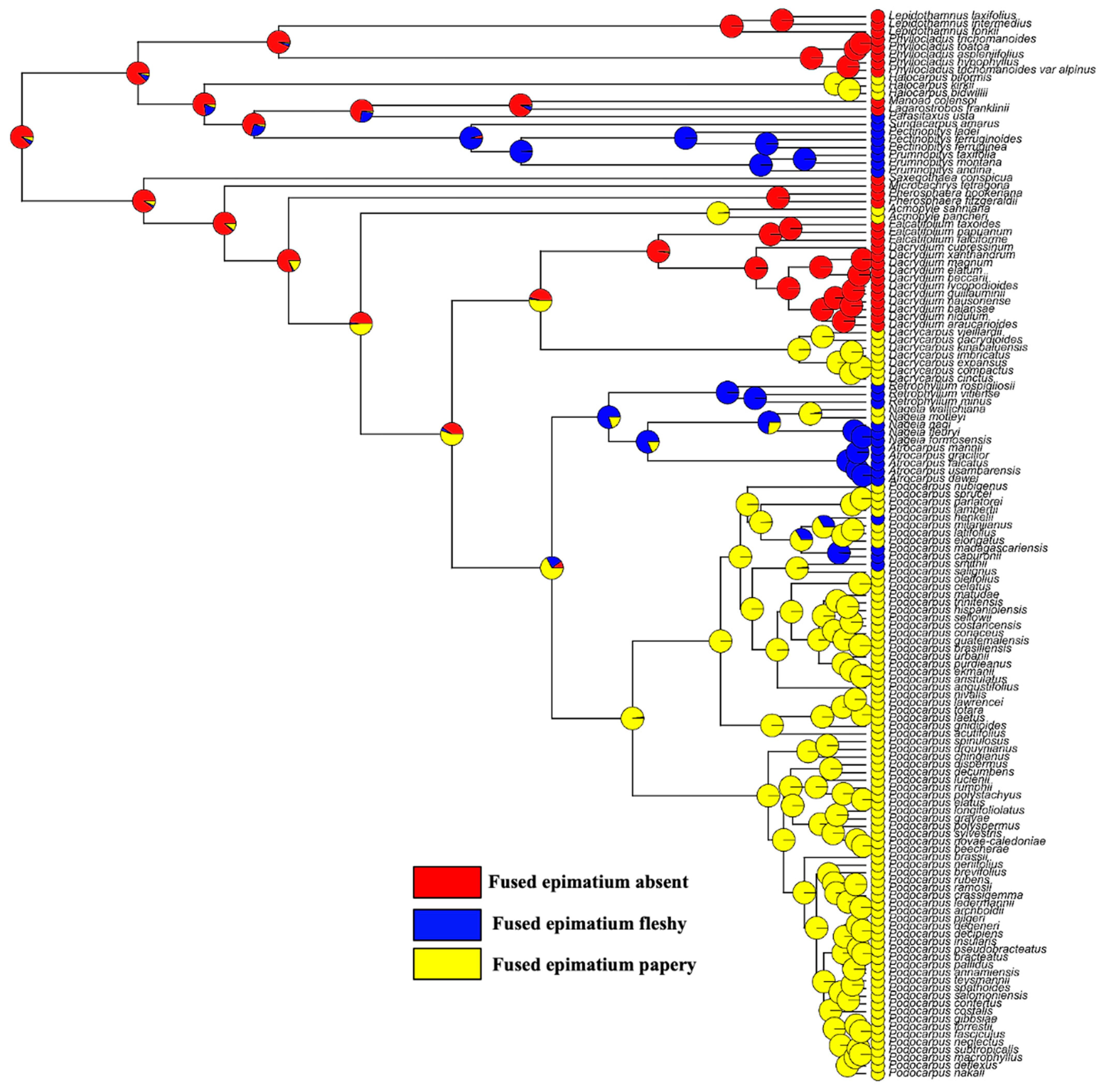 Plants 12 03903 g007