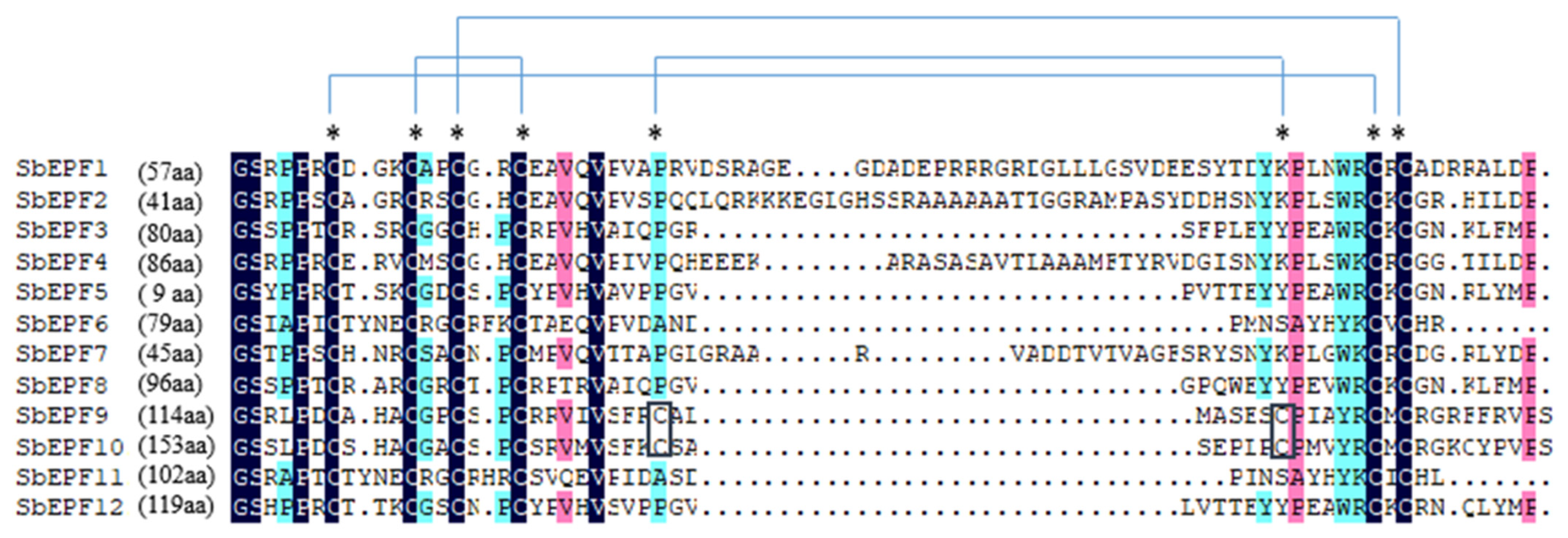 Plants 12 03912 g001