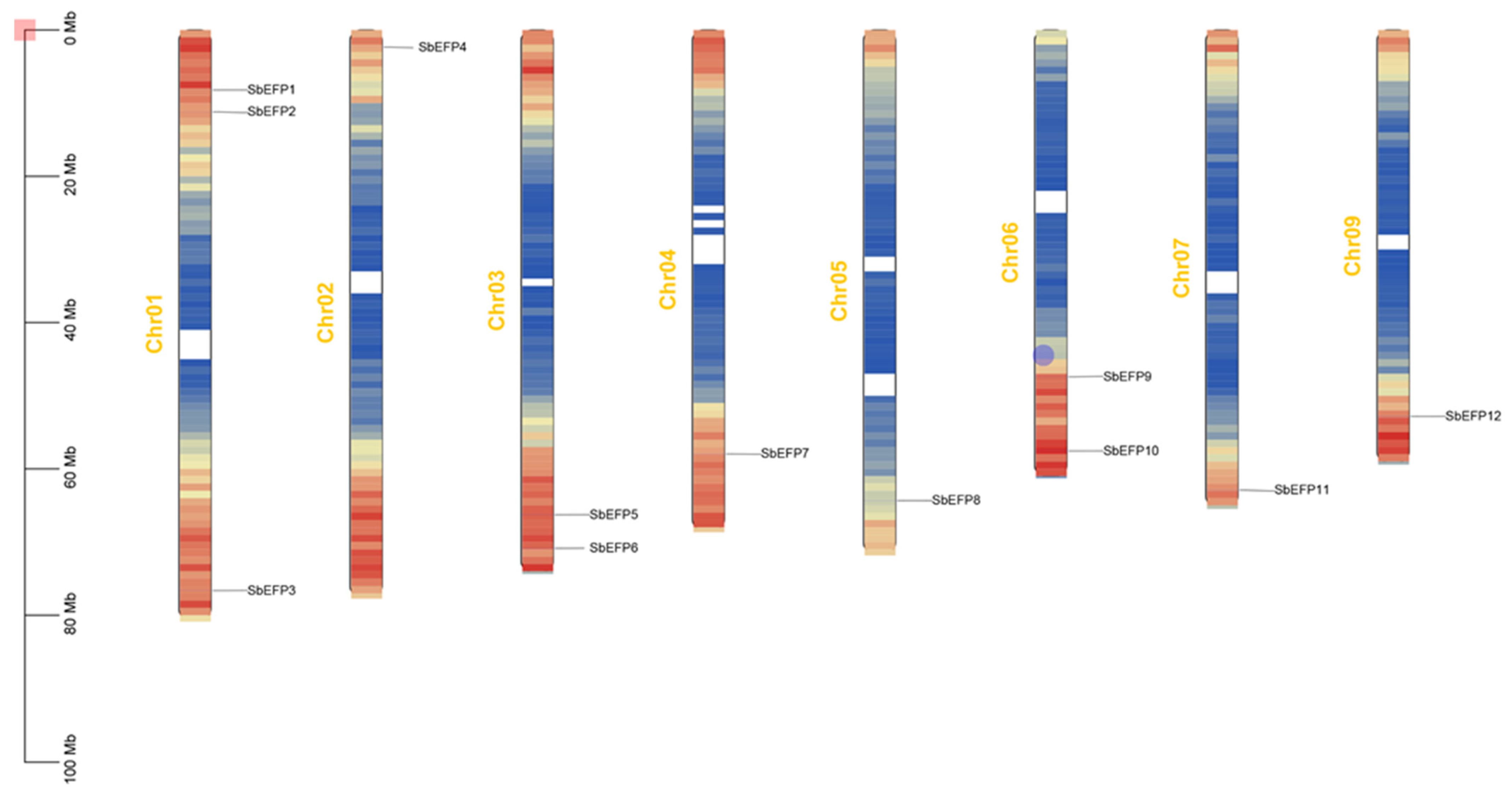 Plants 12 03912 g002