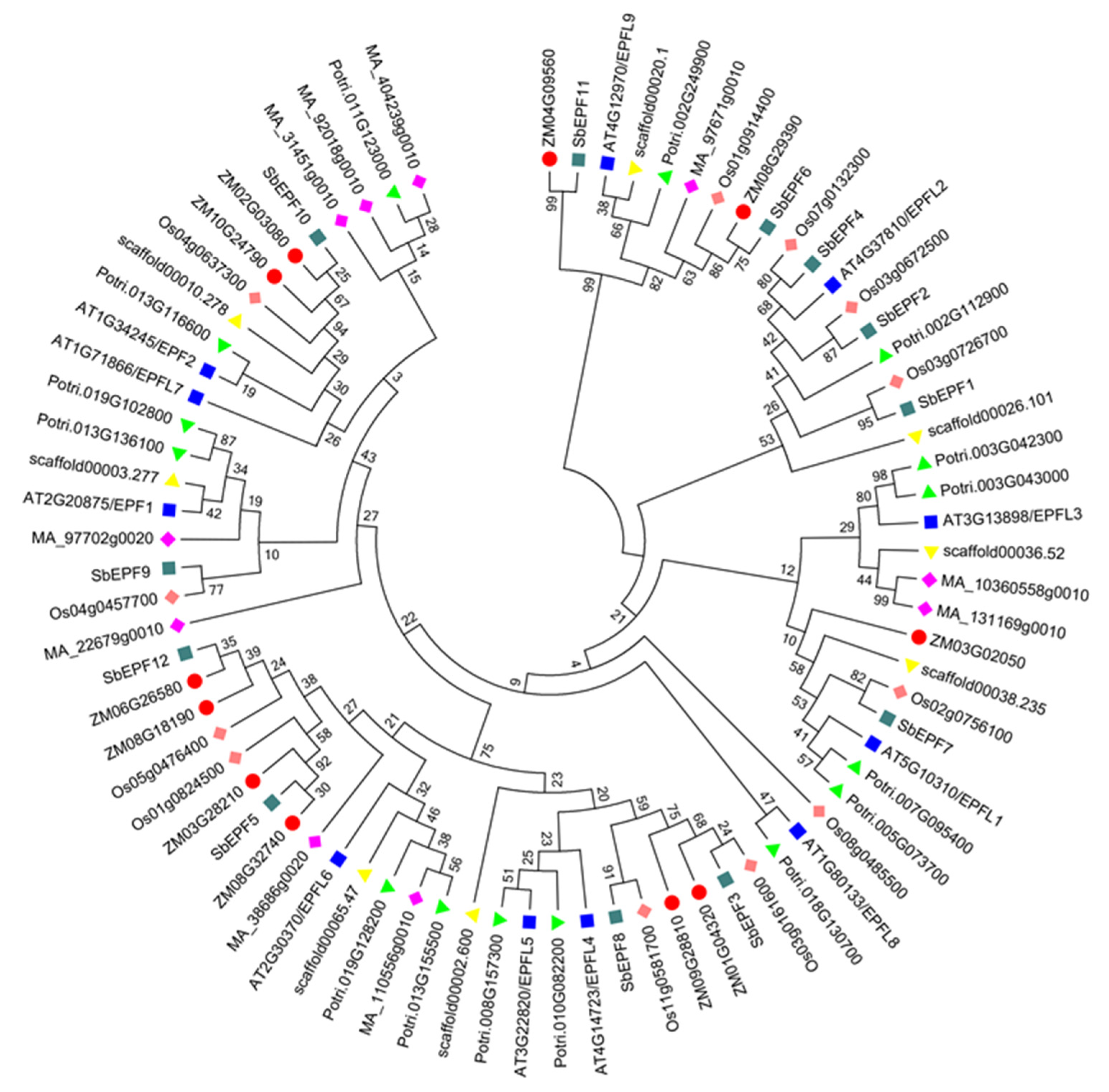 Plants 12 03912 g003